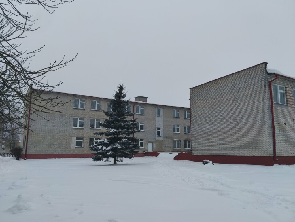 Общеобразовательная школа Средняя школа Дитвянская ГУО, Гродненская область, фото