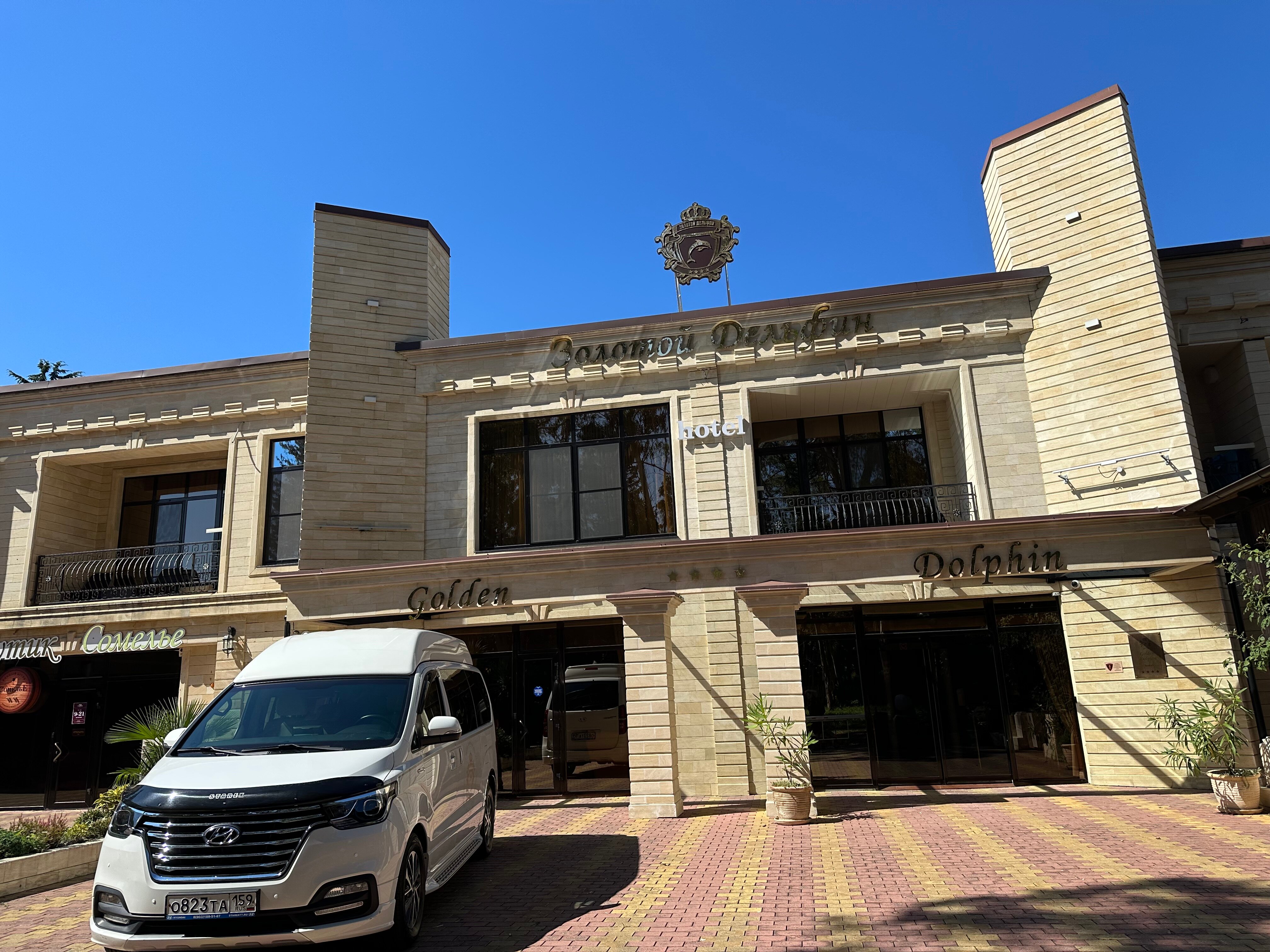 Фото Золотой дельфин