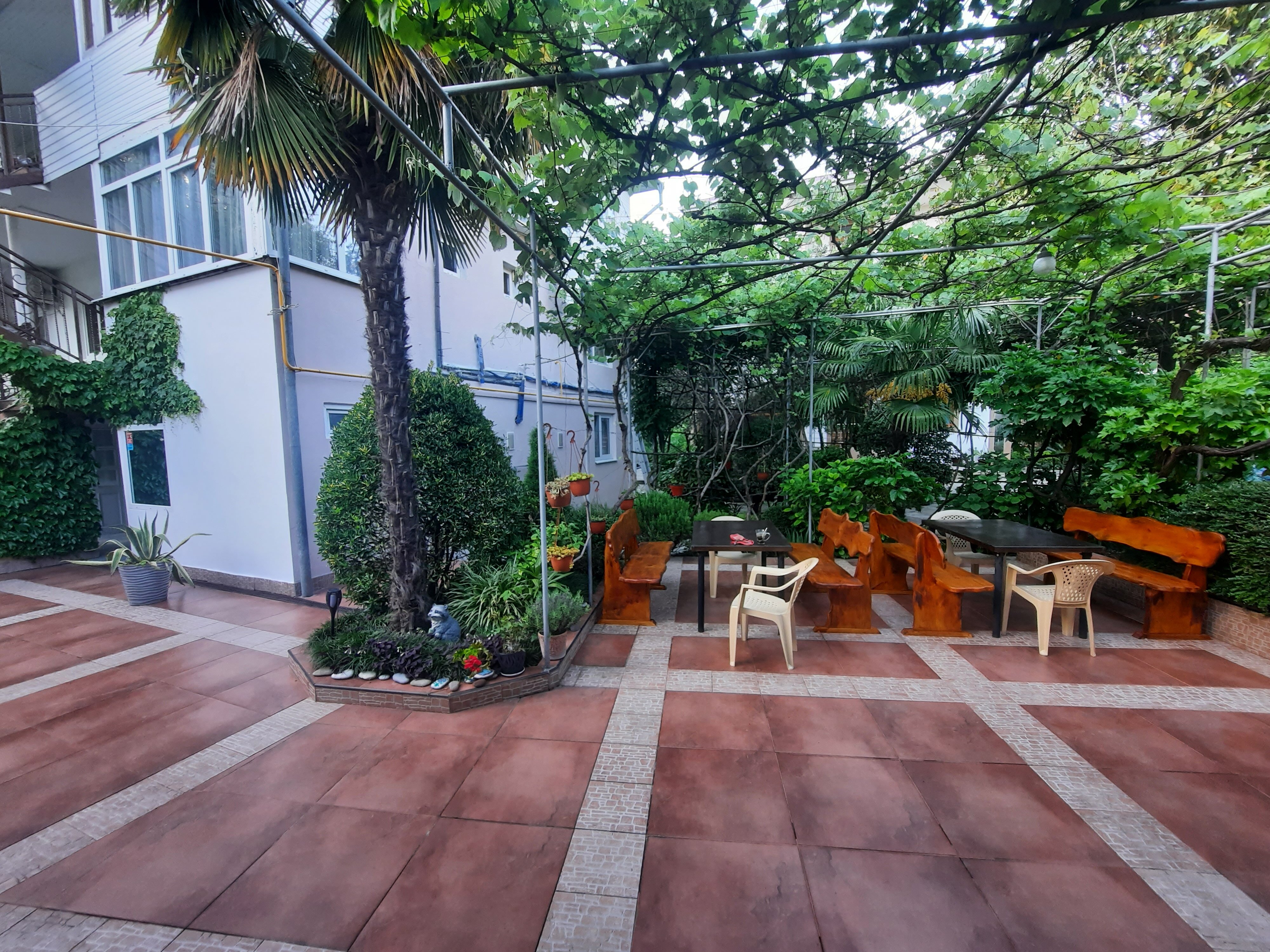 Фото Солоники