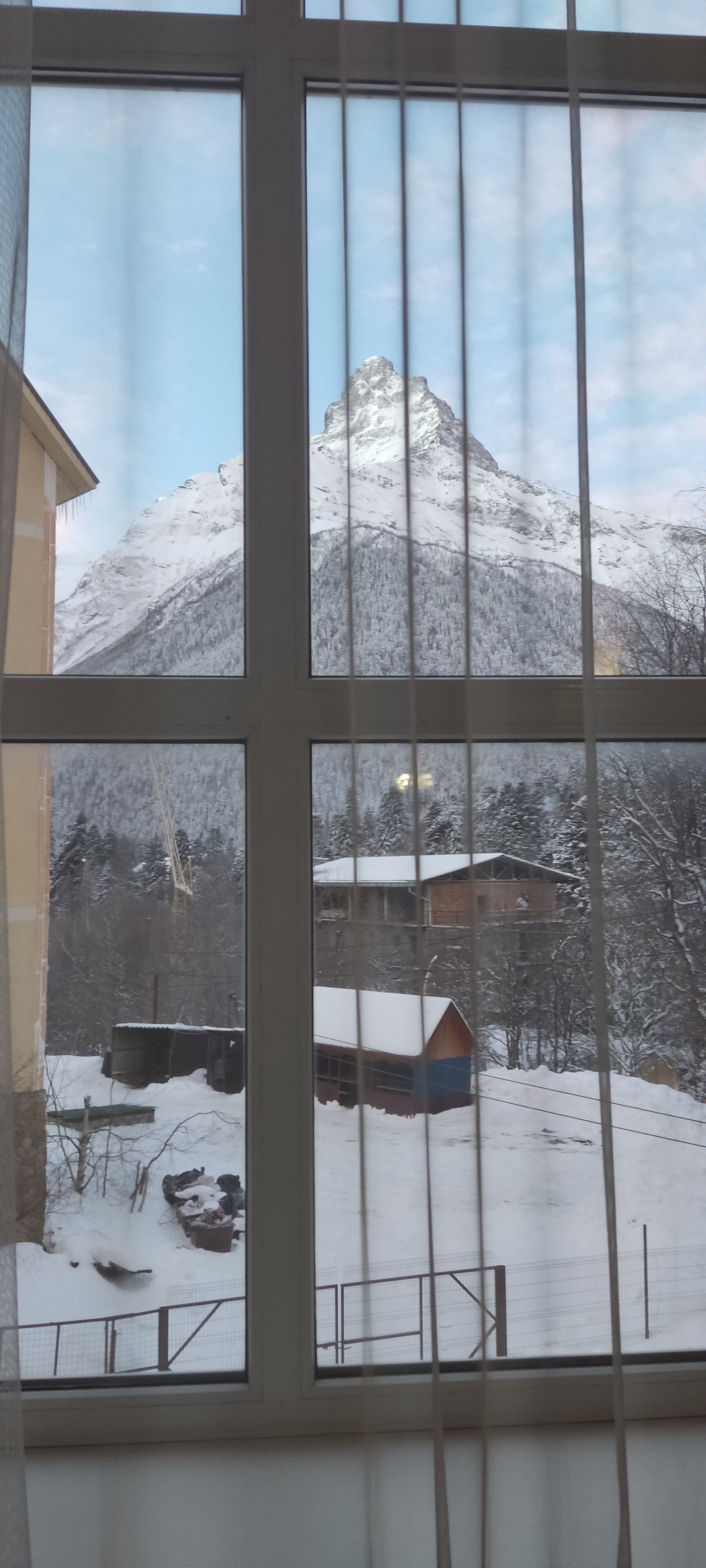 Фото Старый Клён