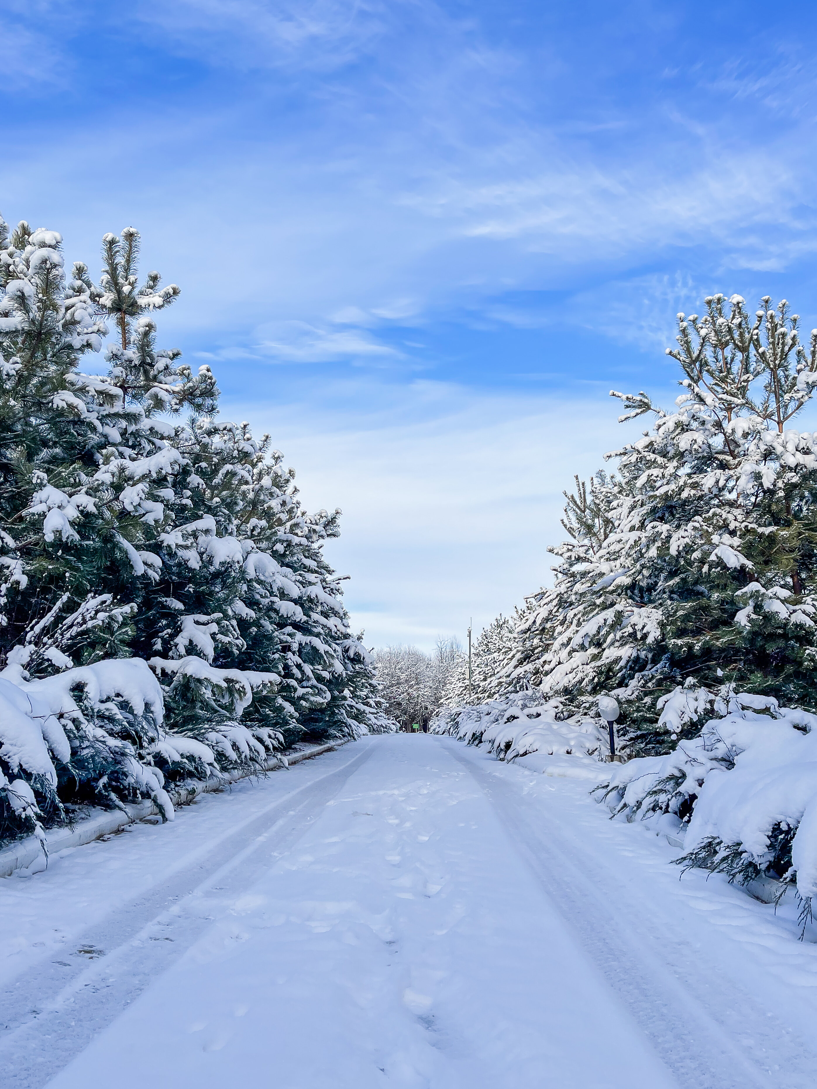 Фото Зеленые холмы