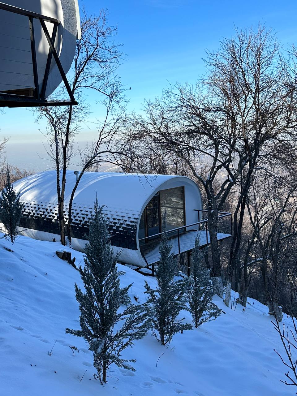 Фото Apple Resort