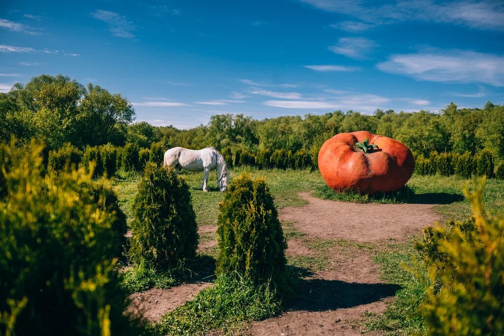 Genre sculpture Tomato, Lipetsk Oblast, photo