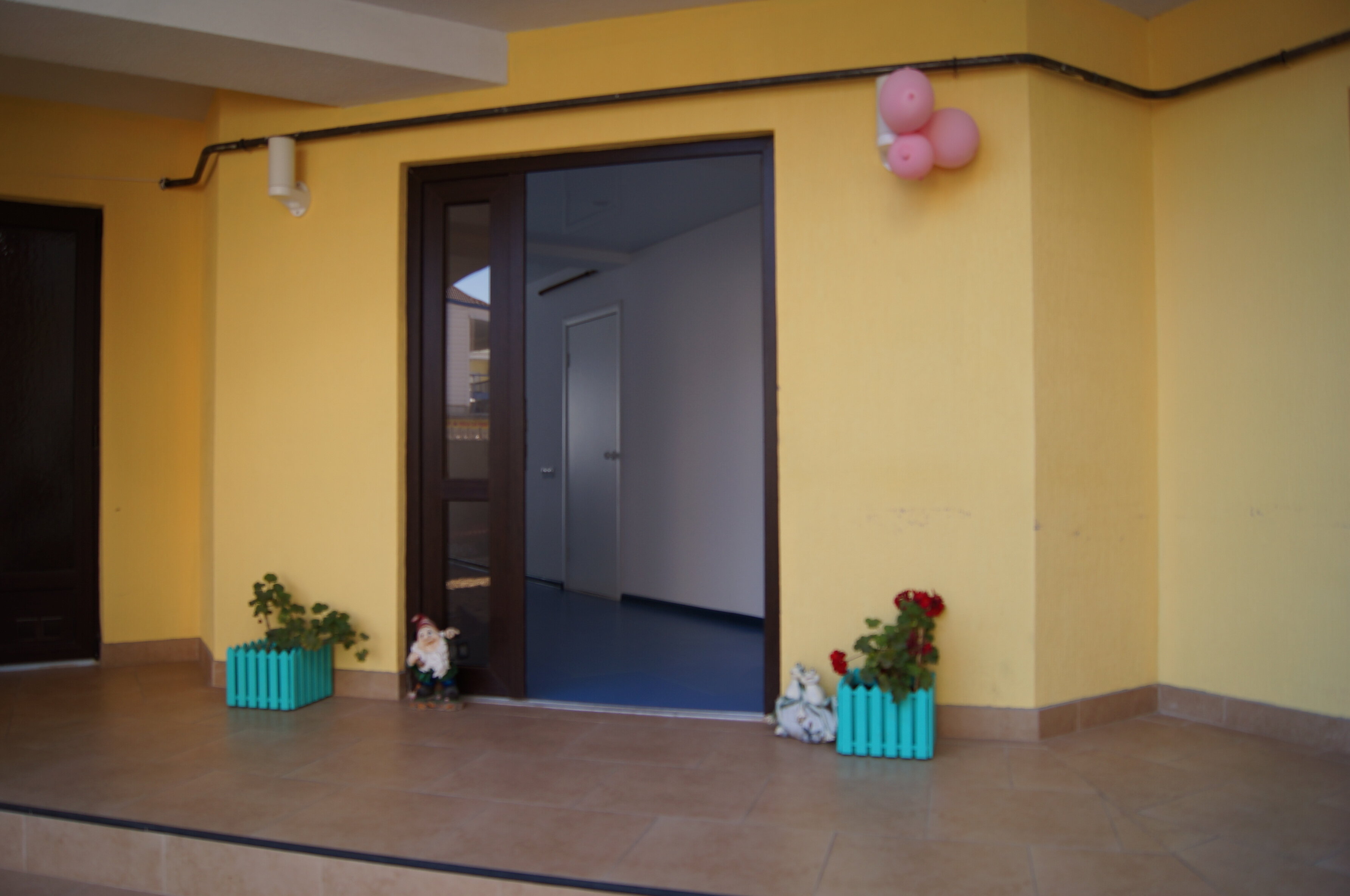 Фото Магнолия 2