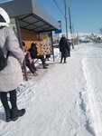 Алфёрово (Republic of Altai, Mayminskiy rayon, posyolok Alfyorovo, Tsentralnaya ulitsa), public transport stop