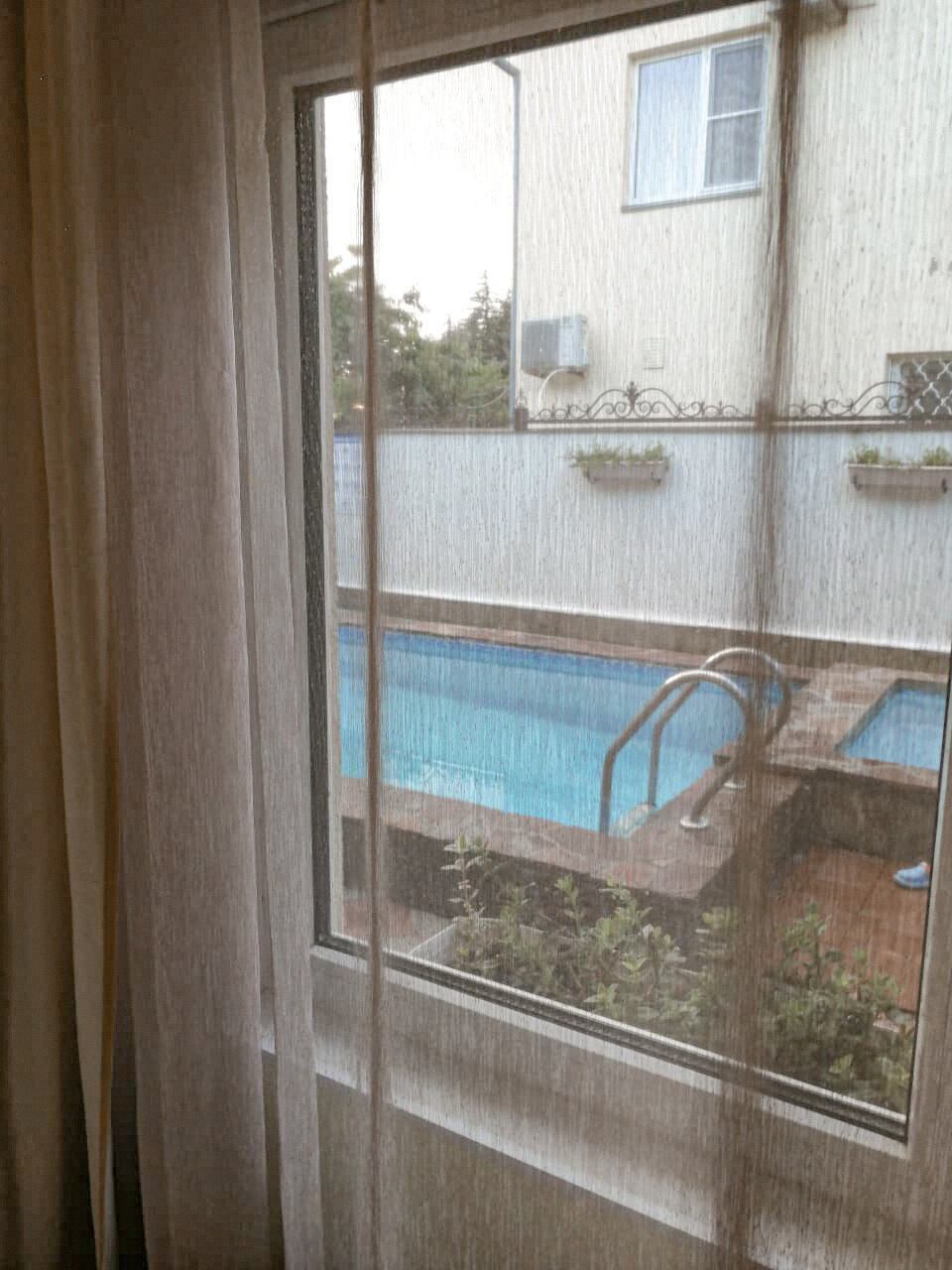 Фото Дельфиния