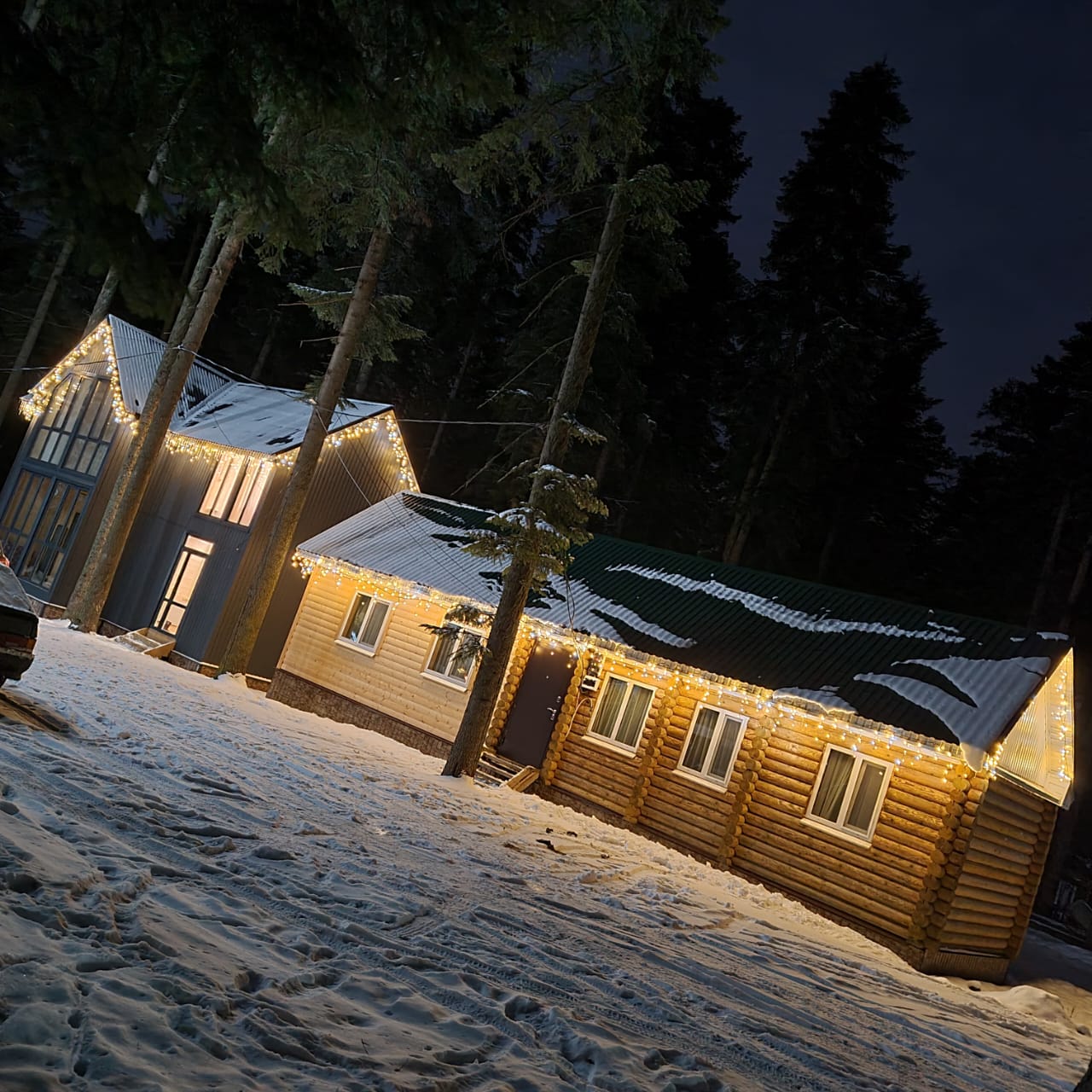 Фото Пихтовый парк