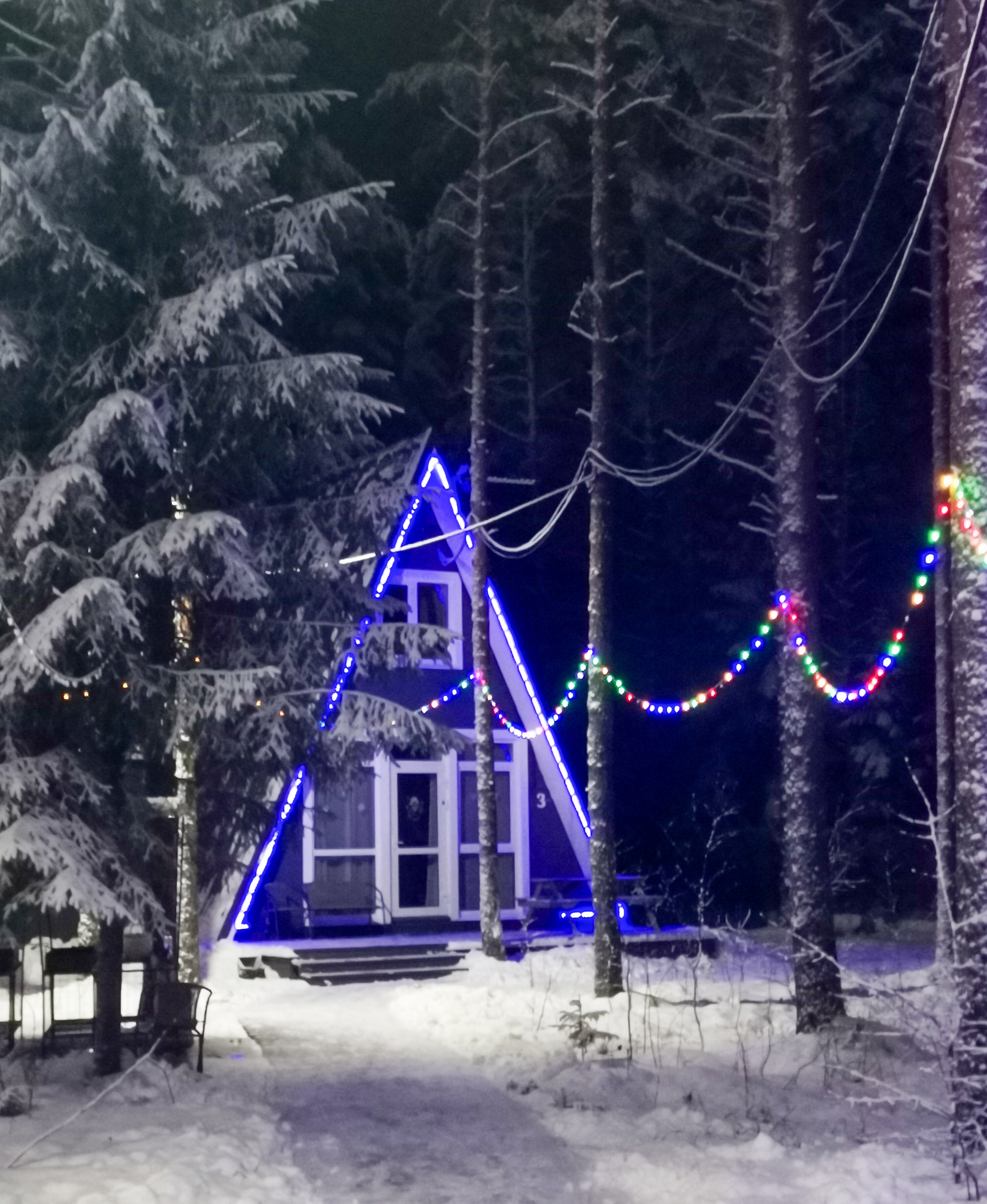 Фото Пикник 2.0