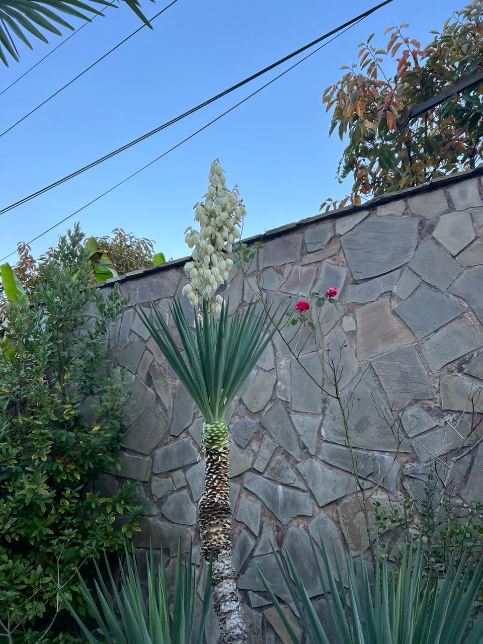 Фото У Елены