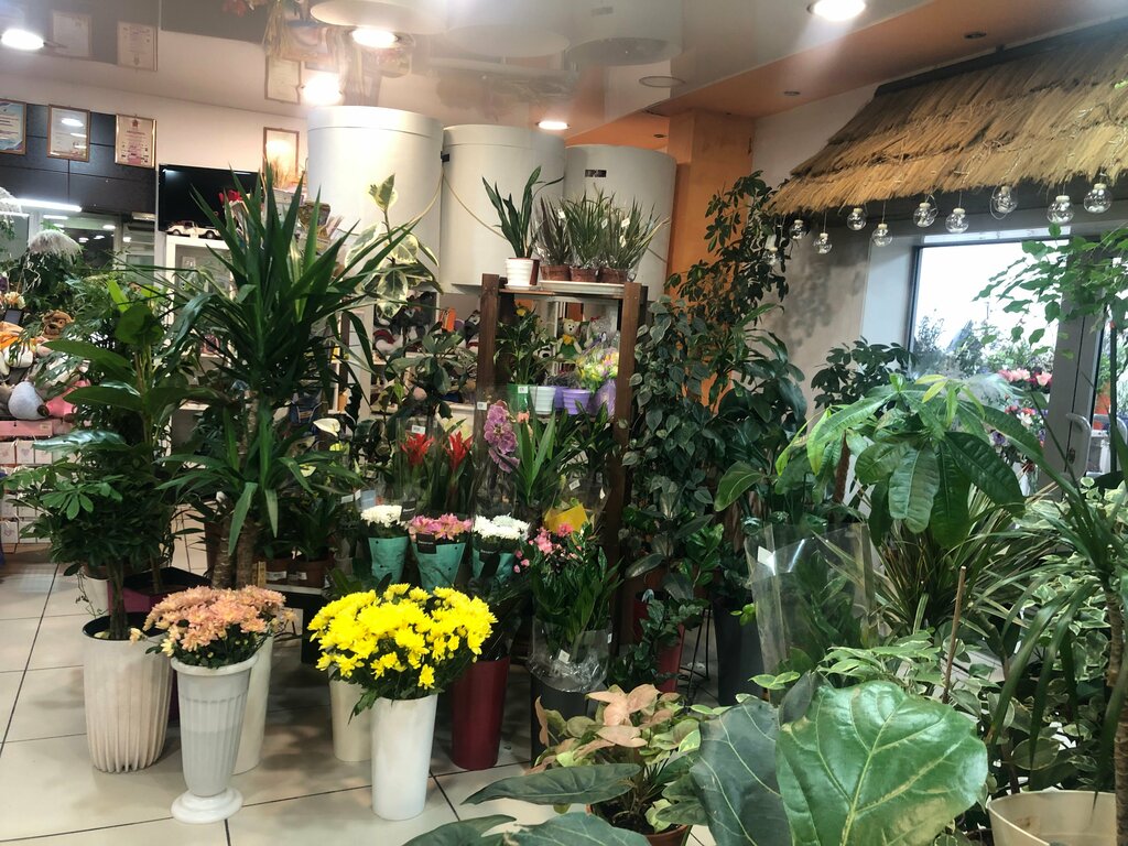 Floristeria Supermarket tsvetov Klumba, , foto