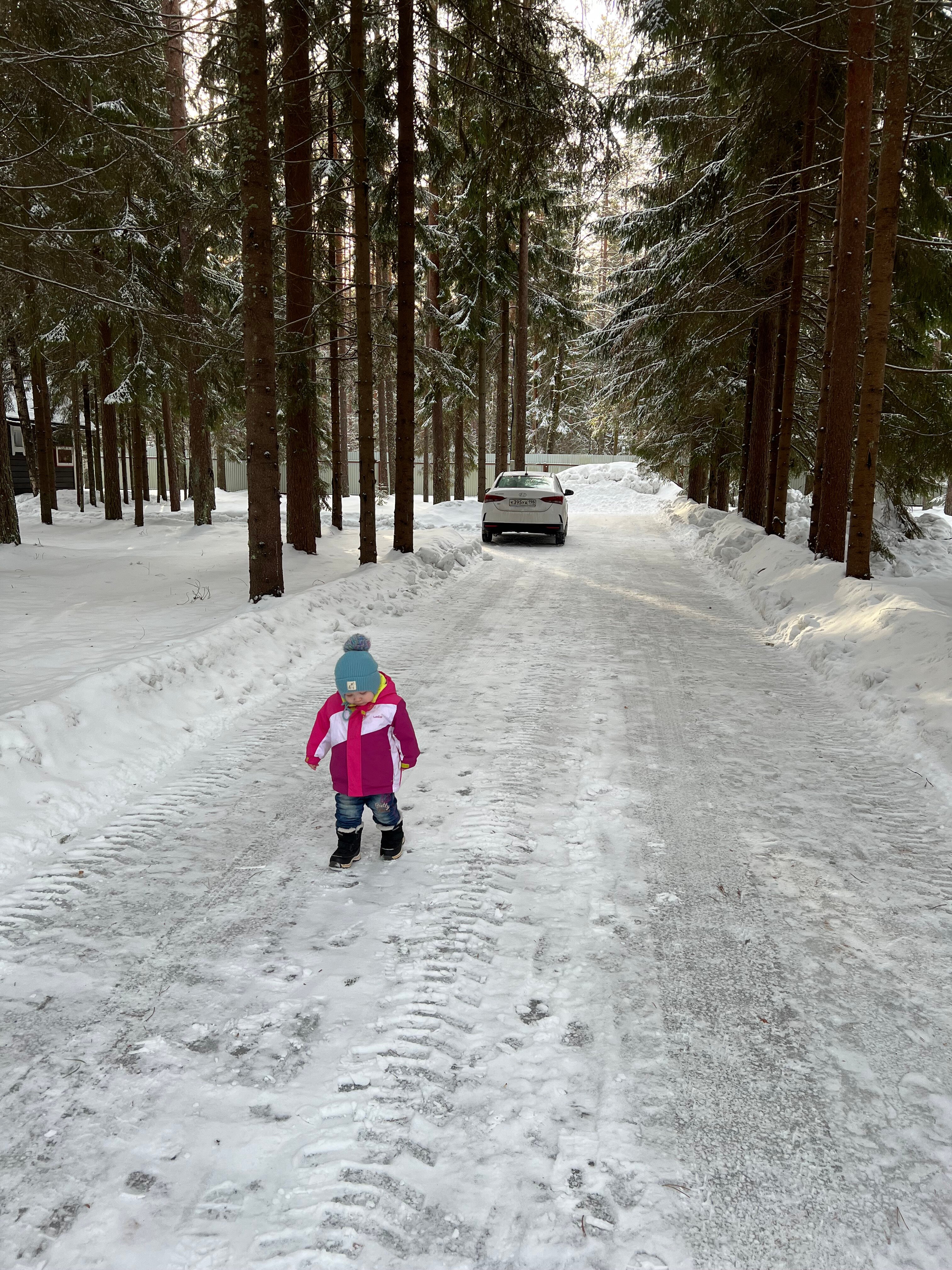 Фото Лесная обитель