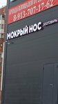 Мокрый нос (Kirovskiy City Administrative District, Zatulinskiy zhilmassiv, ulitsa Gromova, 25), pet shop