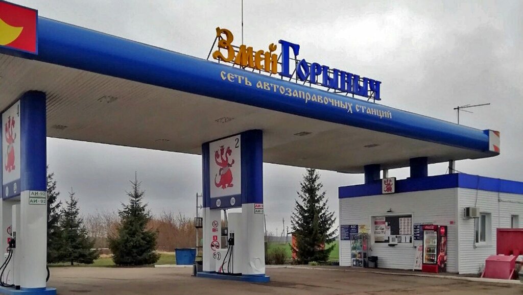 АЗС Змей Горыныч, Рязанская область, фото