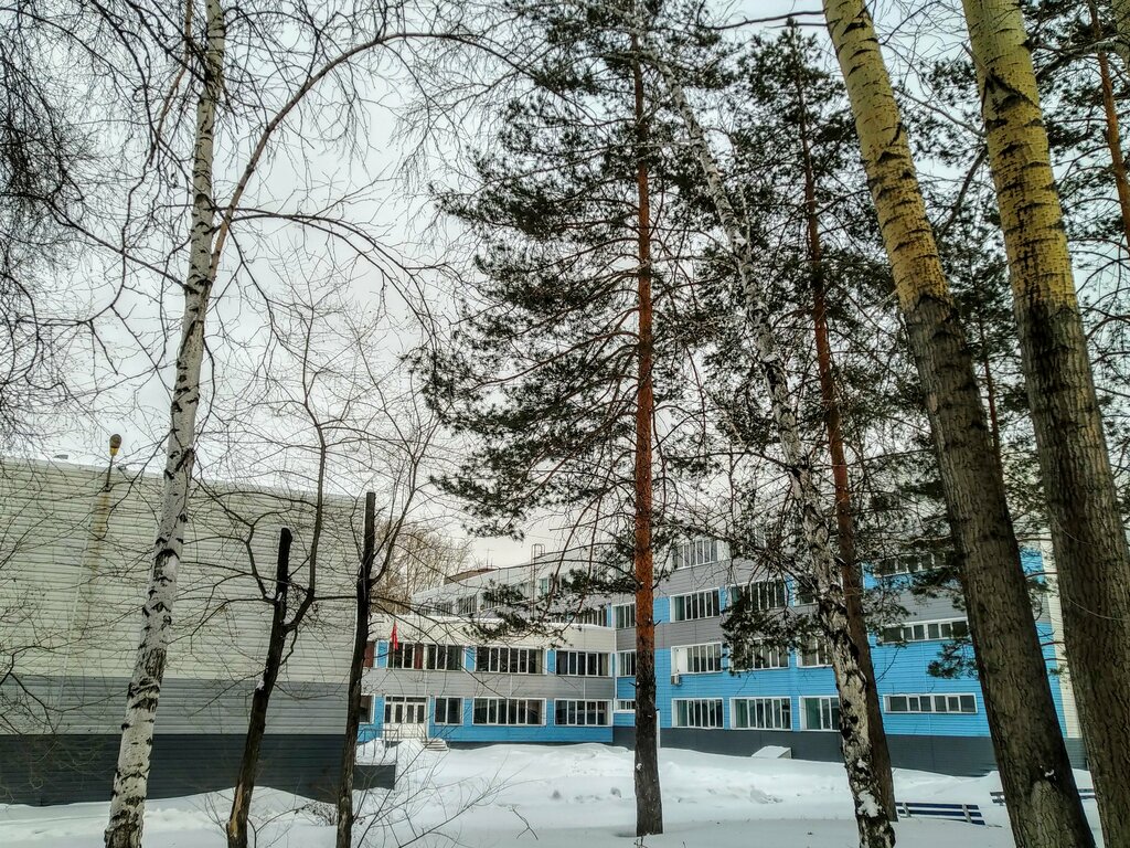 School Mbou SOSh № 186, Novosibirsk, photo