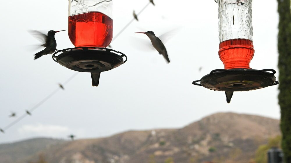 Фото Casa Santa Fe, Guanajuato
