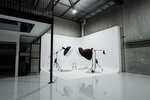 Studio7 (Al-Xorazmiy koʻchasi, 66/7), videography