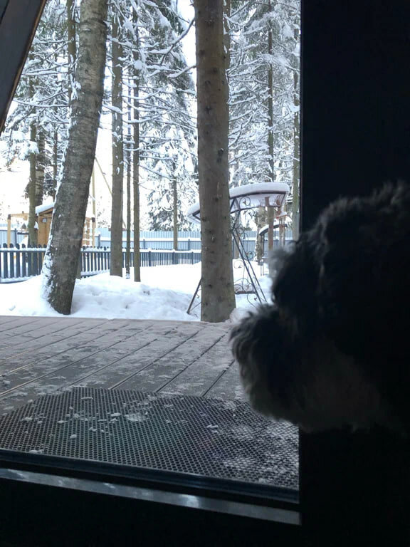 Фото Elki в Новожилово