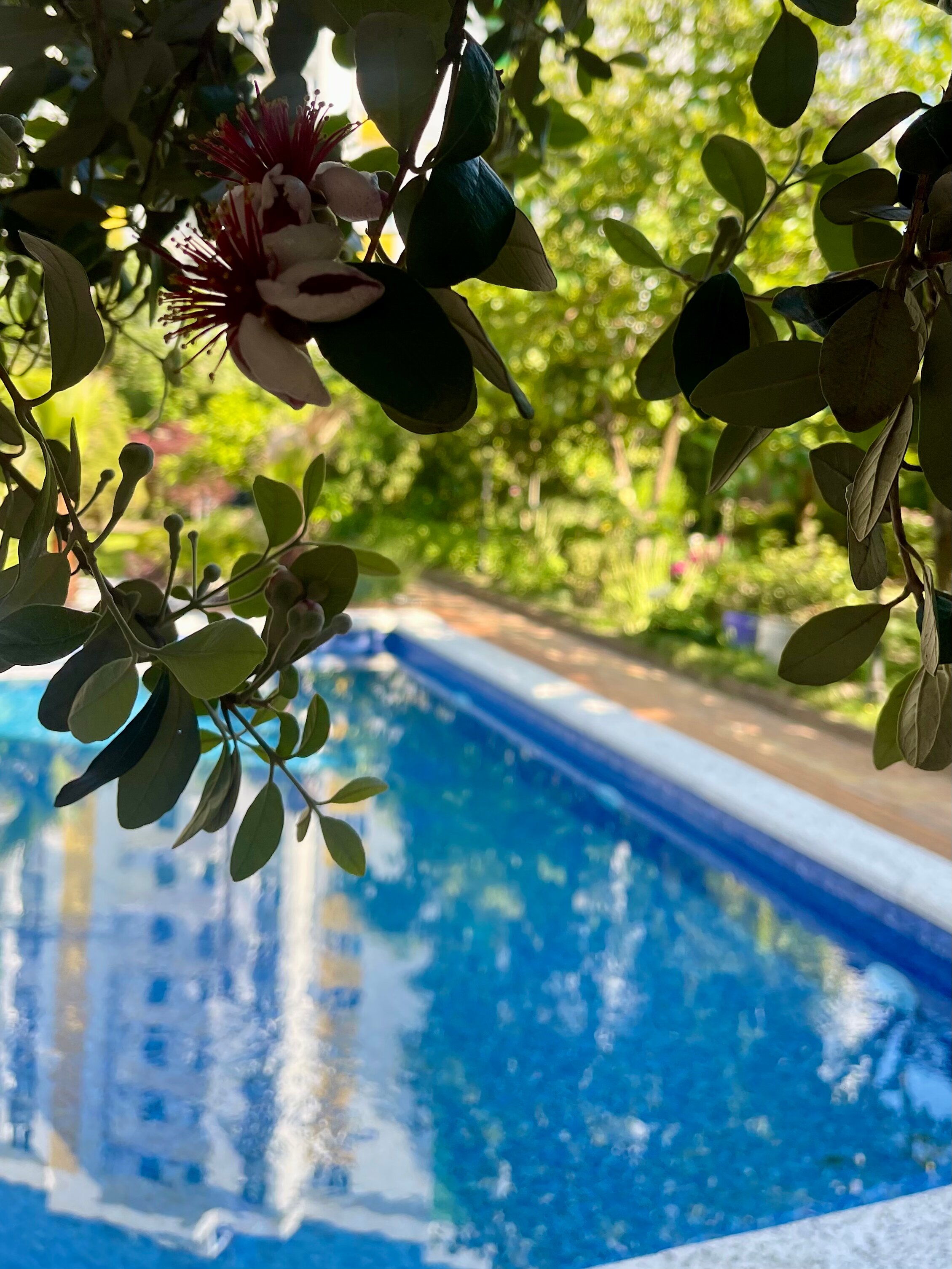 Фото Вилла Прованс