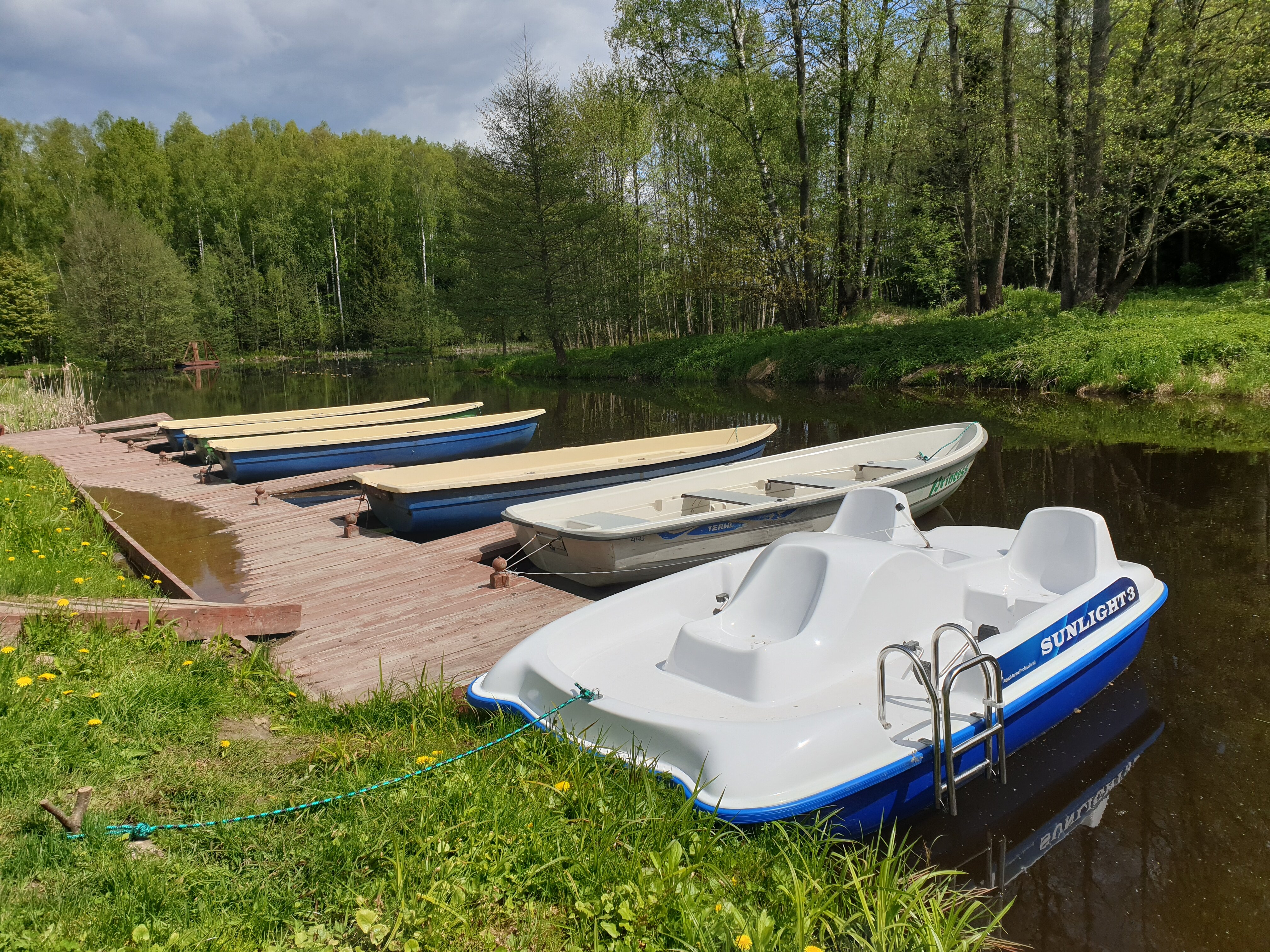 Фото Сафари Парк