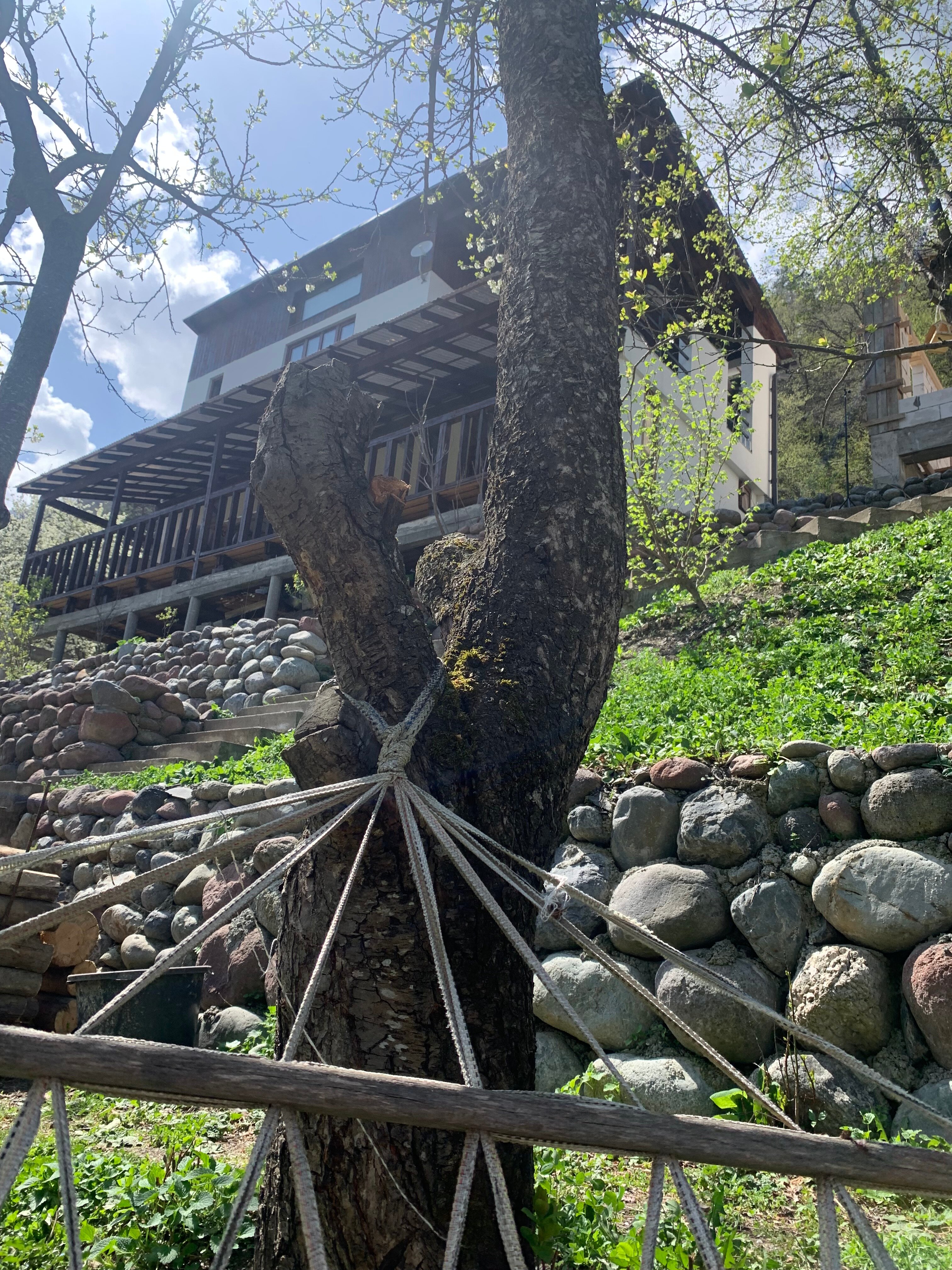 Фото Горы. Маша. Армхи