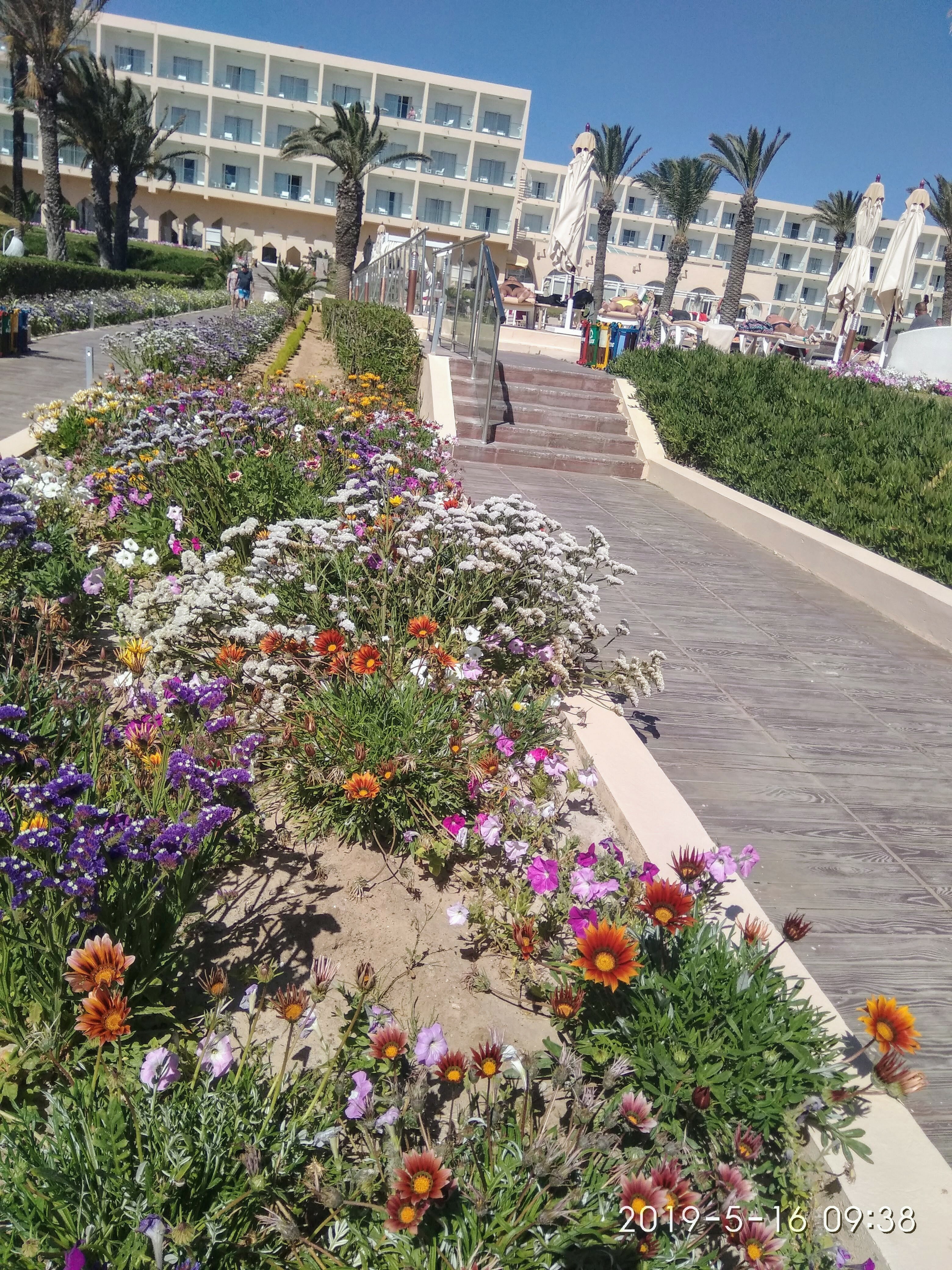 Фото TUI Blue Scheherazade