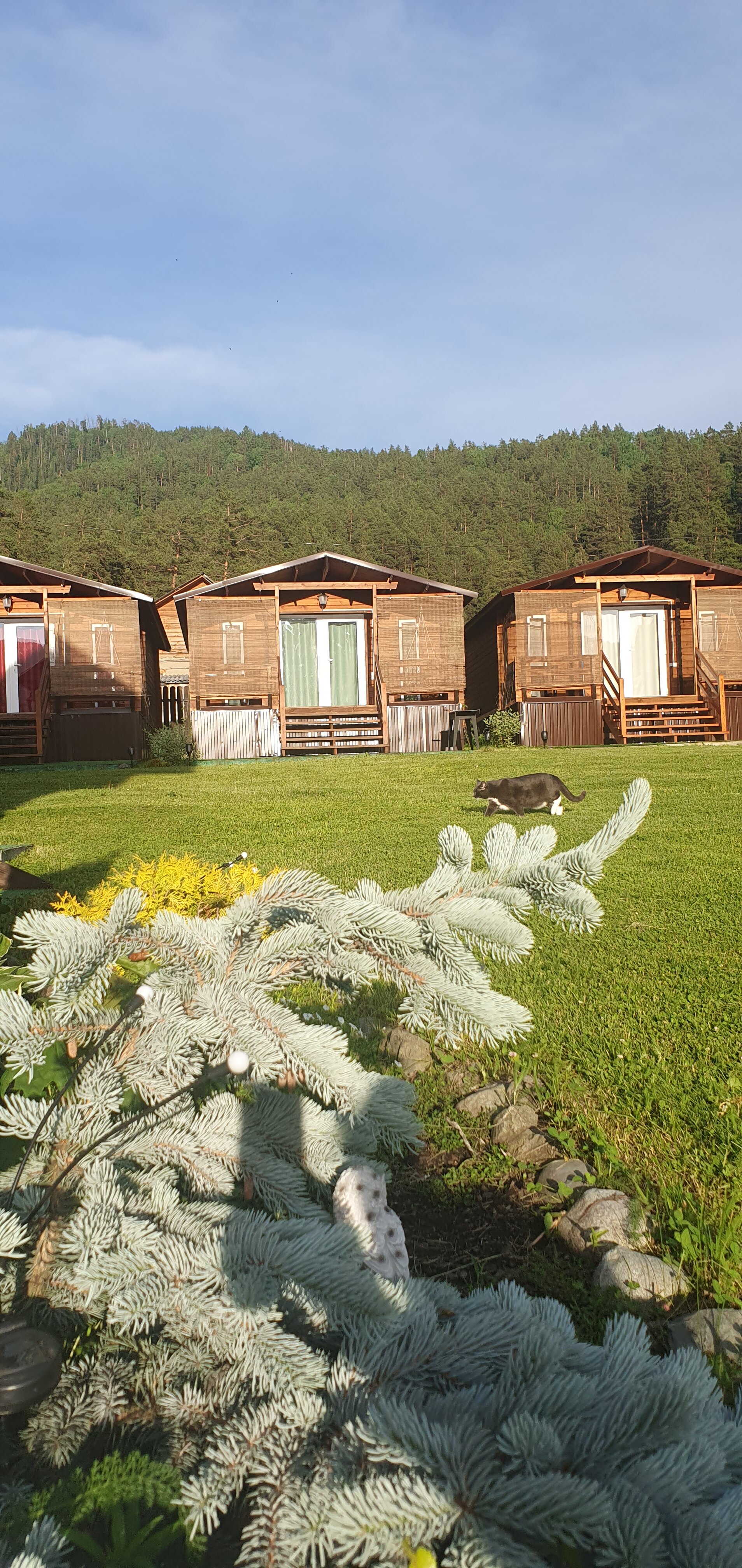 Фото АлтайДача22