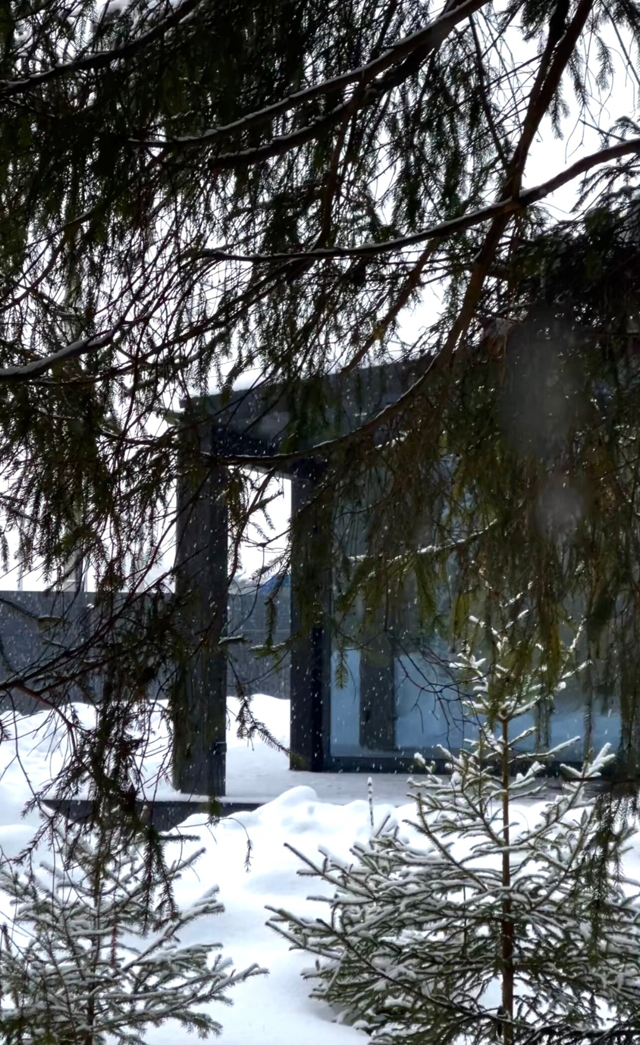 Фото Лес да Вода