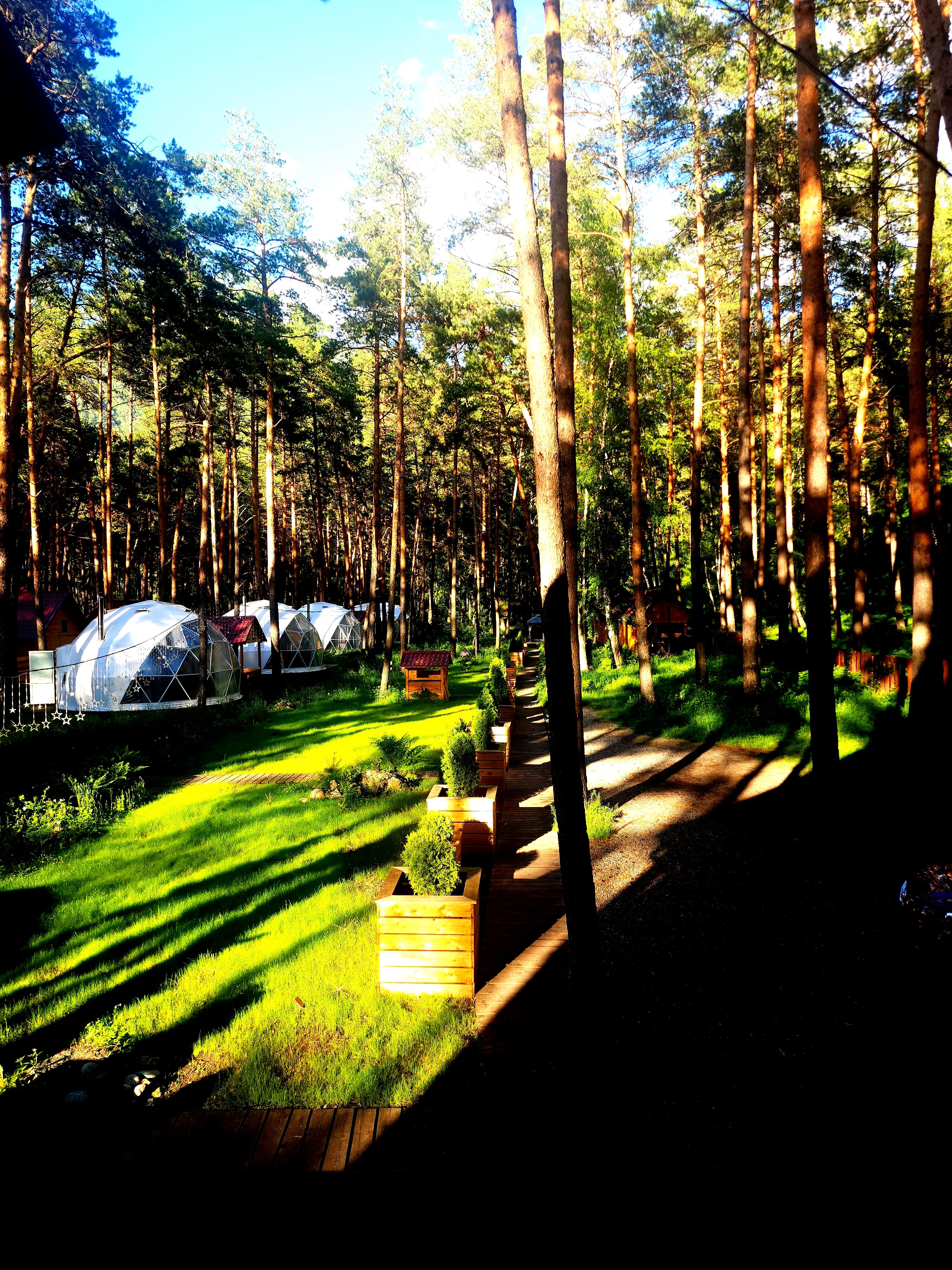 Фото Купольная база Royal Forest