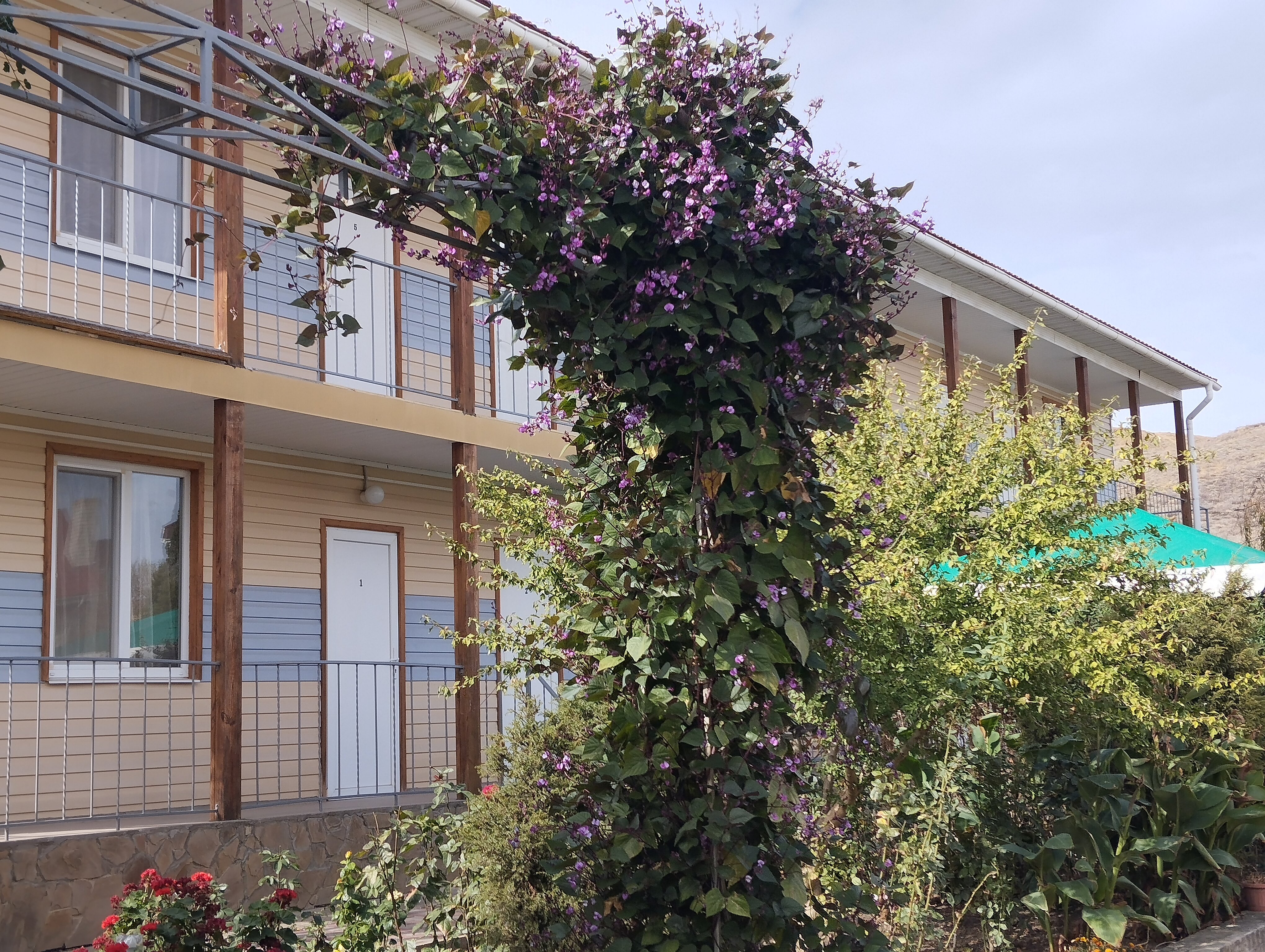 Фото Гостевой дом Канны