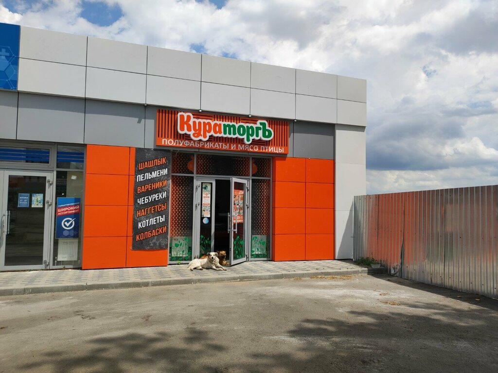 Egg and poultry meat Кураторгъ, Stavropol, photo