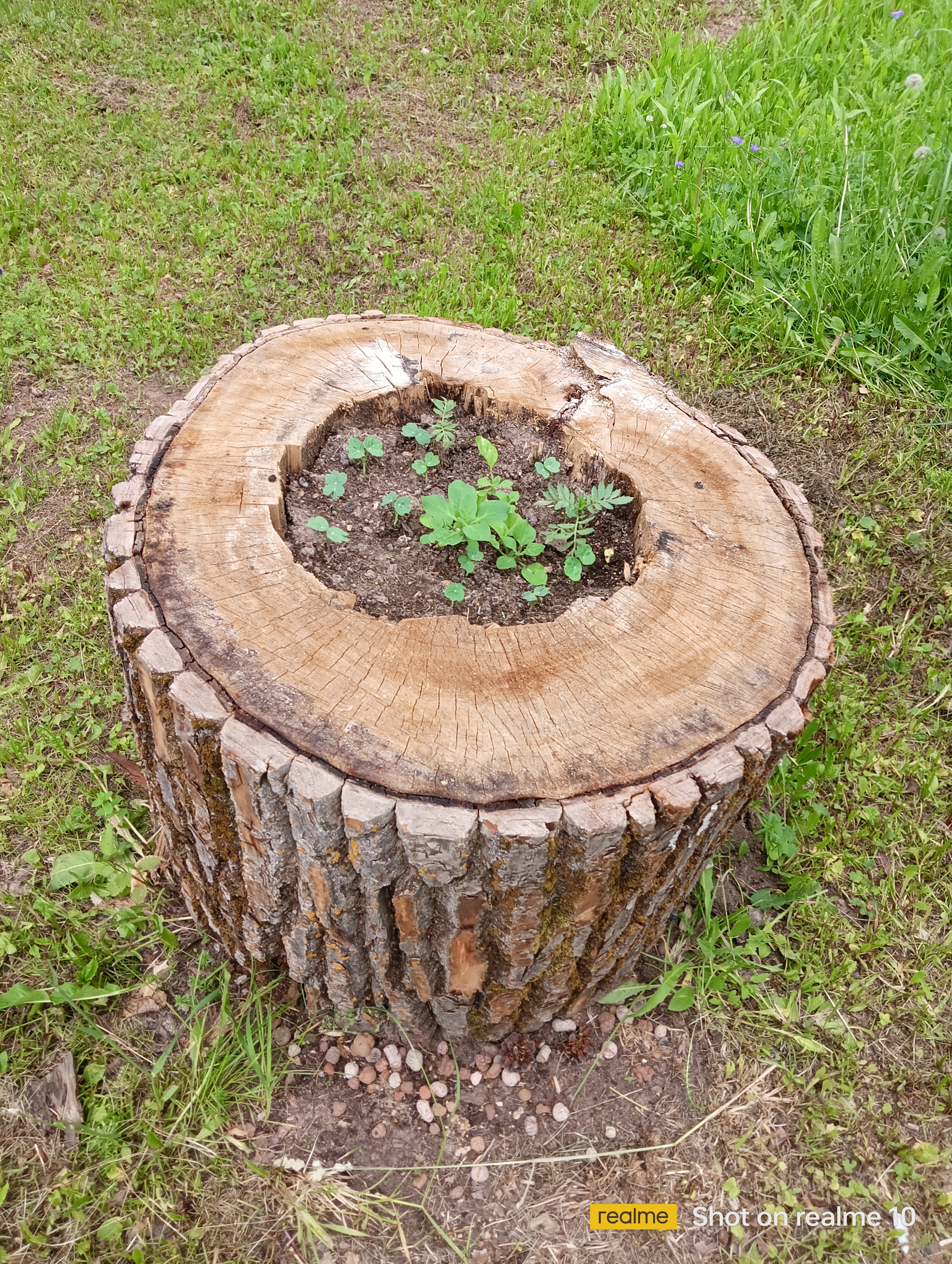 Фото Эко-Усадьба Ошеть