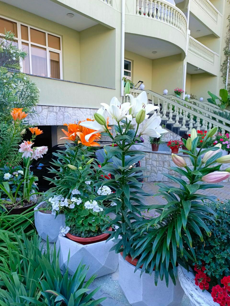 Фото Грин Хаус