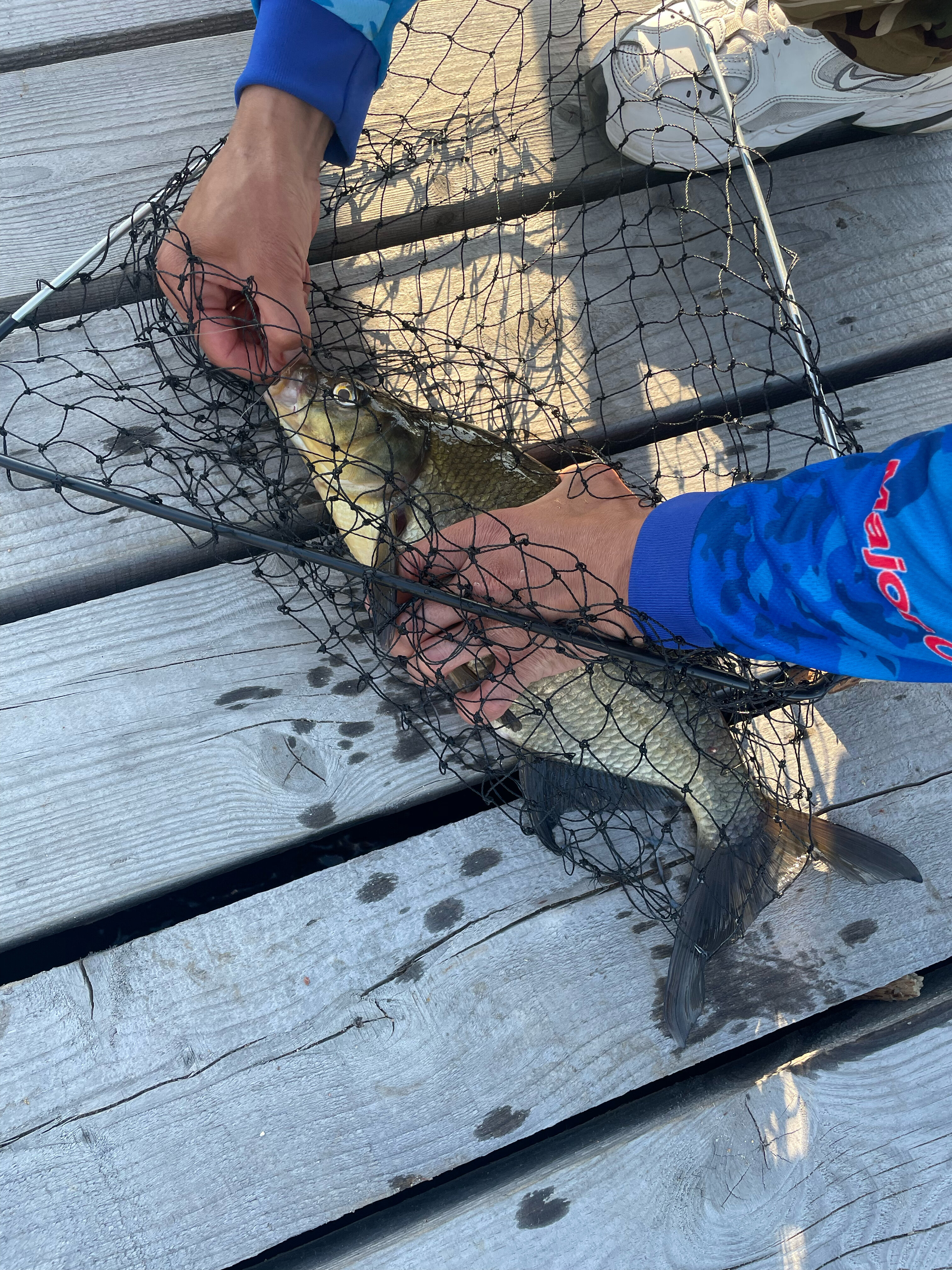 Фото Ламба-Сяндеба