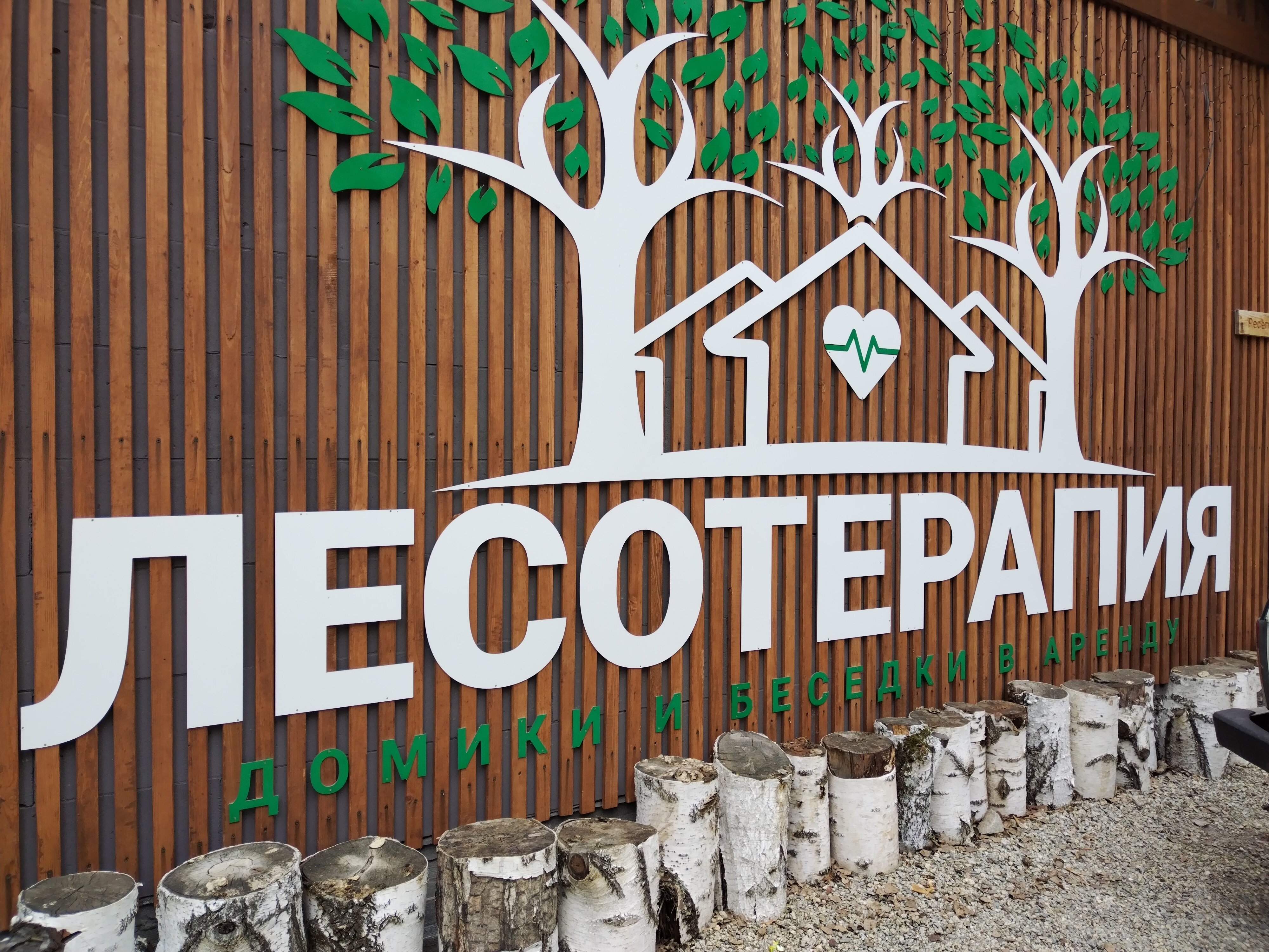 Фото Лесотерапия