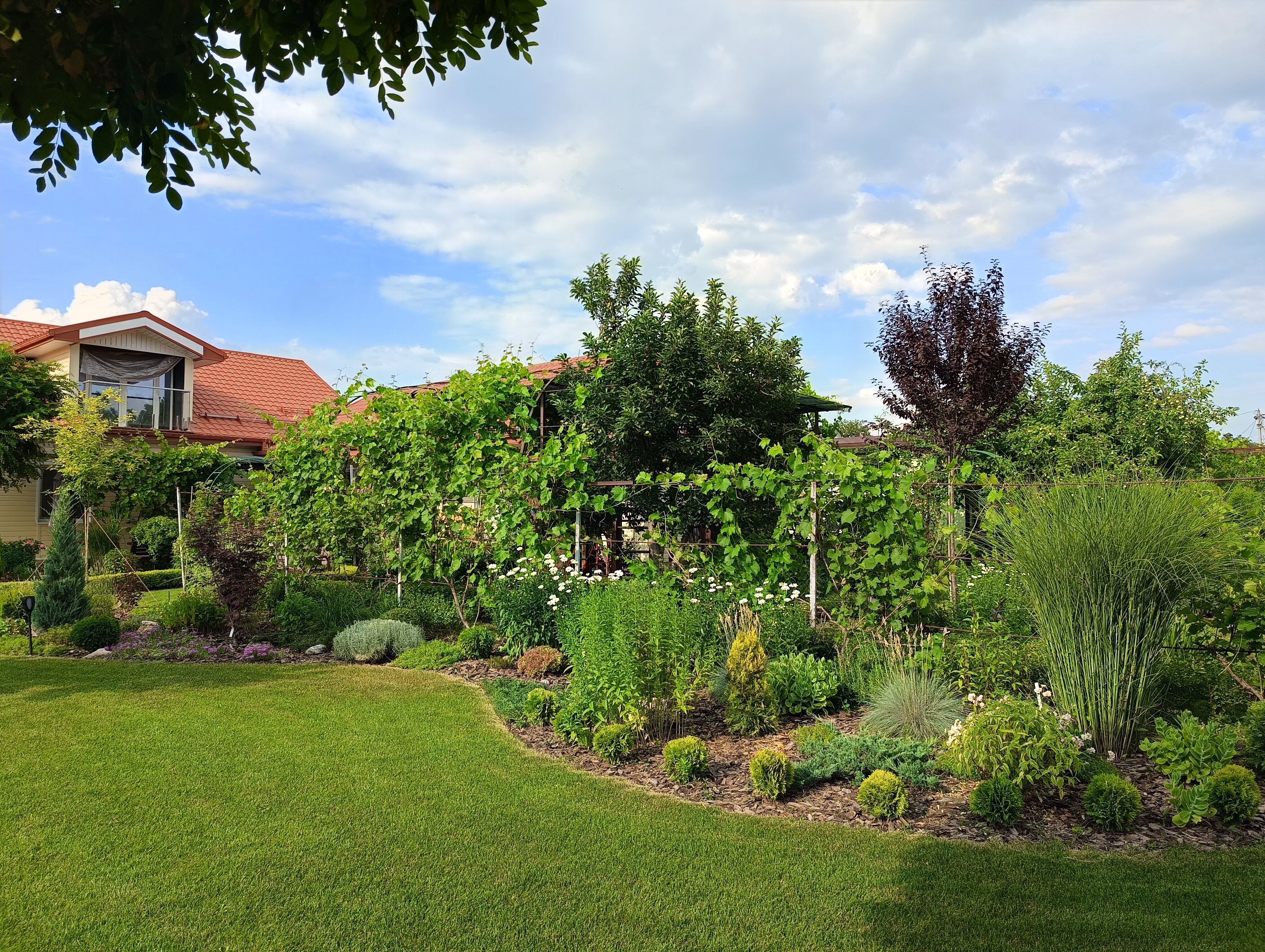 Фото Дача на юге