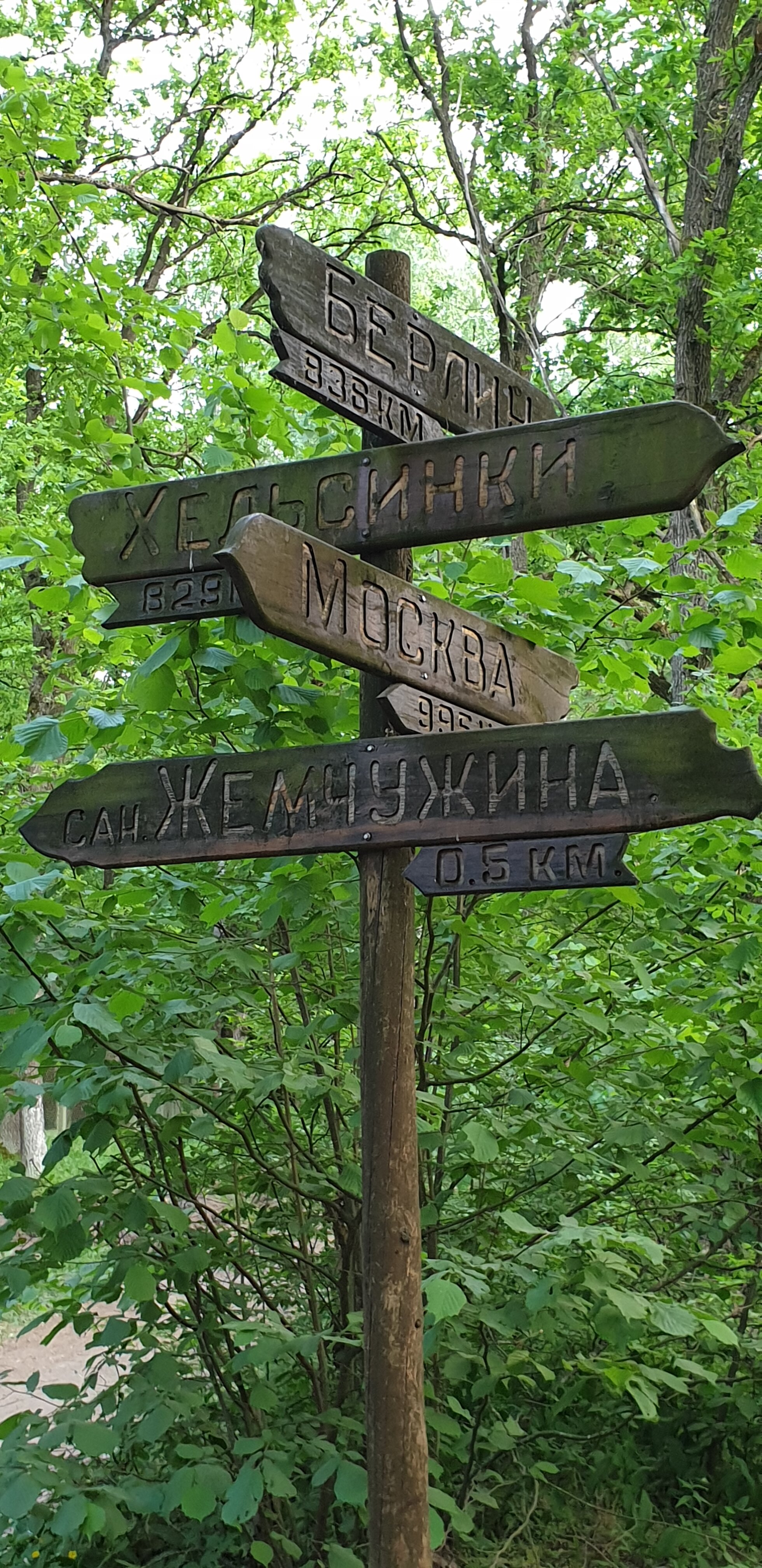 Фото Жемчужина