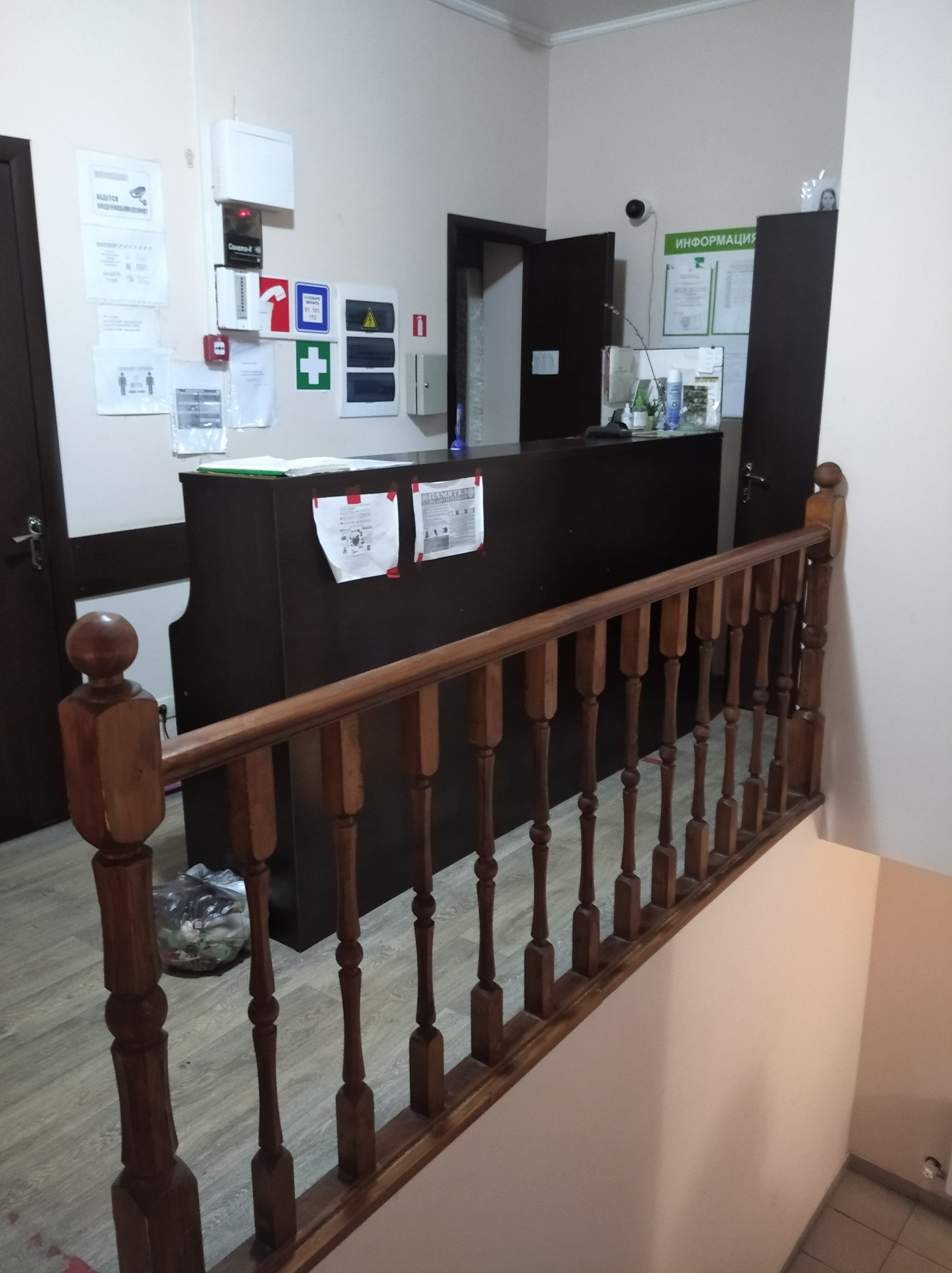 Фото Базилик