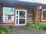 Зоомагазин (posyolok gorodskogo tipa Krasnogorskiy, Tsentralnaya ulitsa, 57), pet shop
