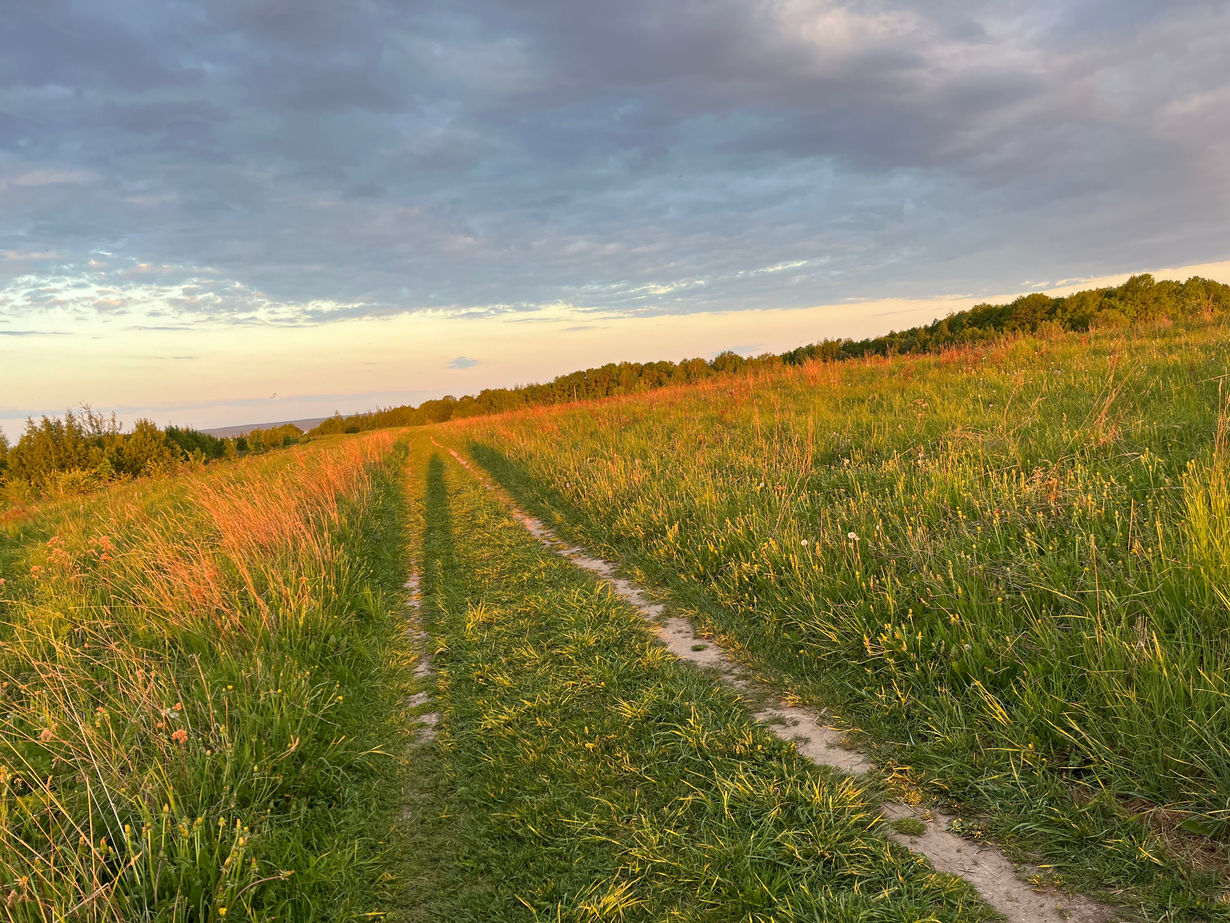Фото Плещеево Хиллз