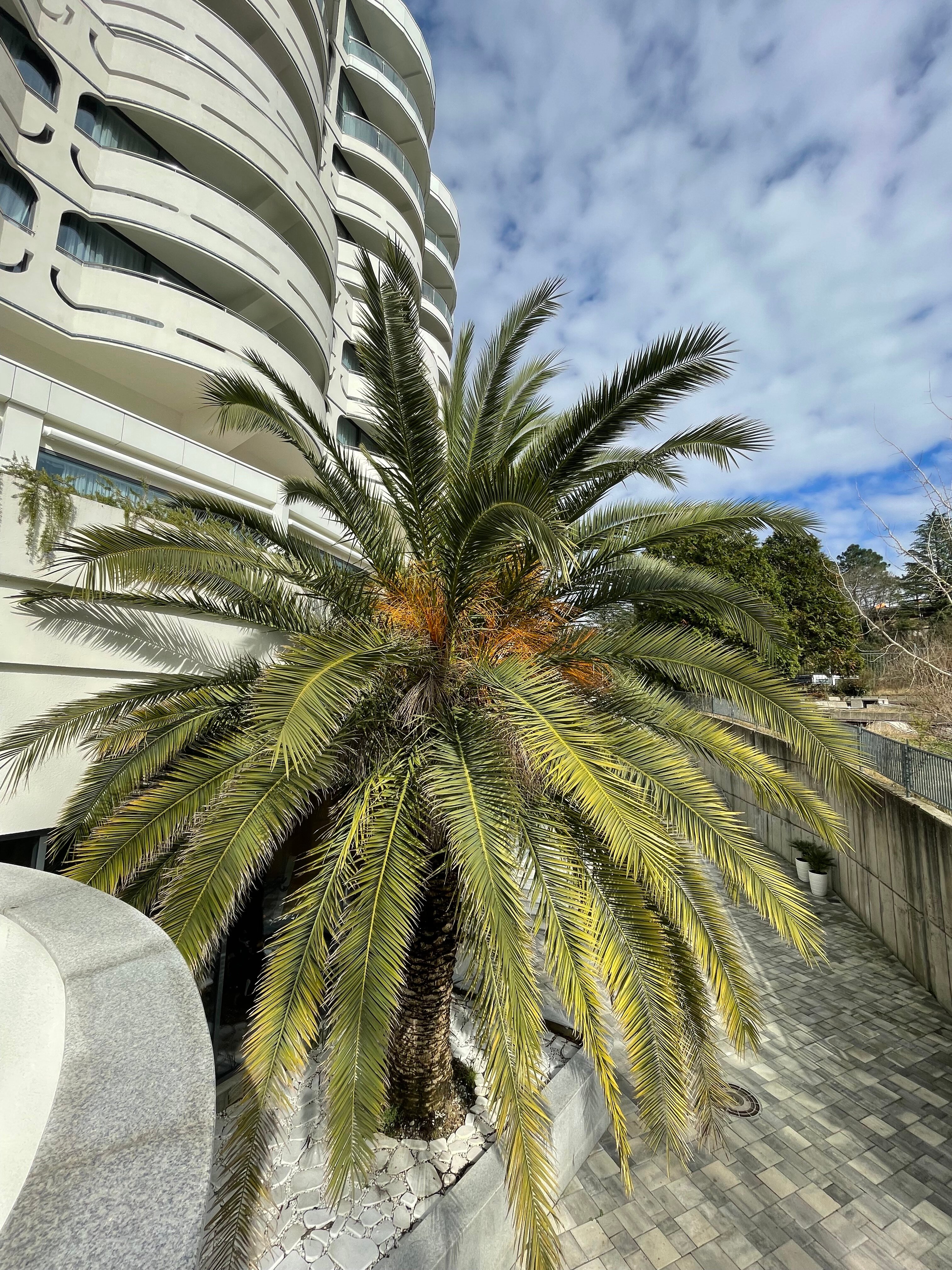 Фото Апартаменты у моря