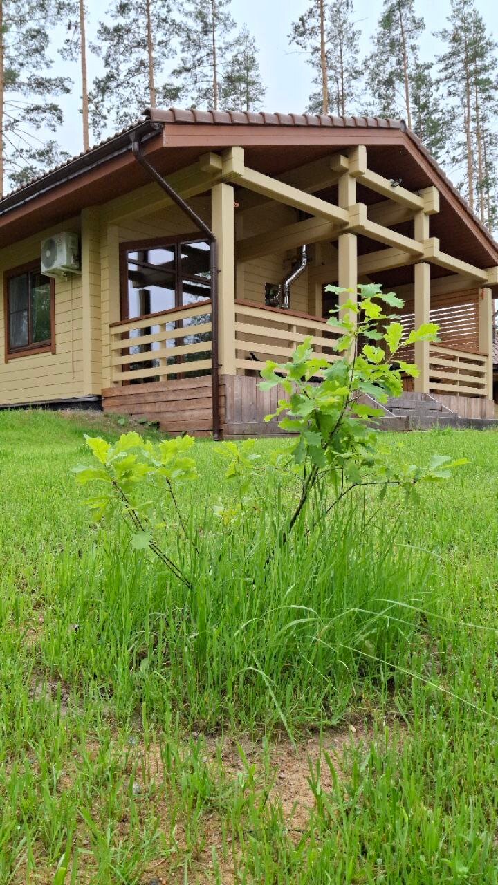 Фото Sosnovka house