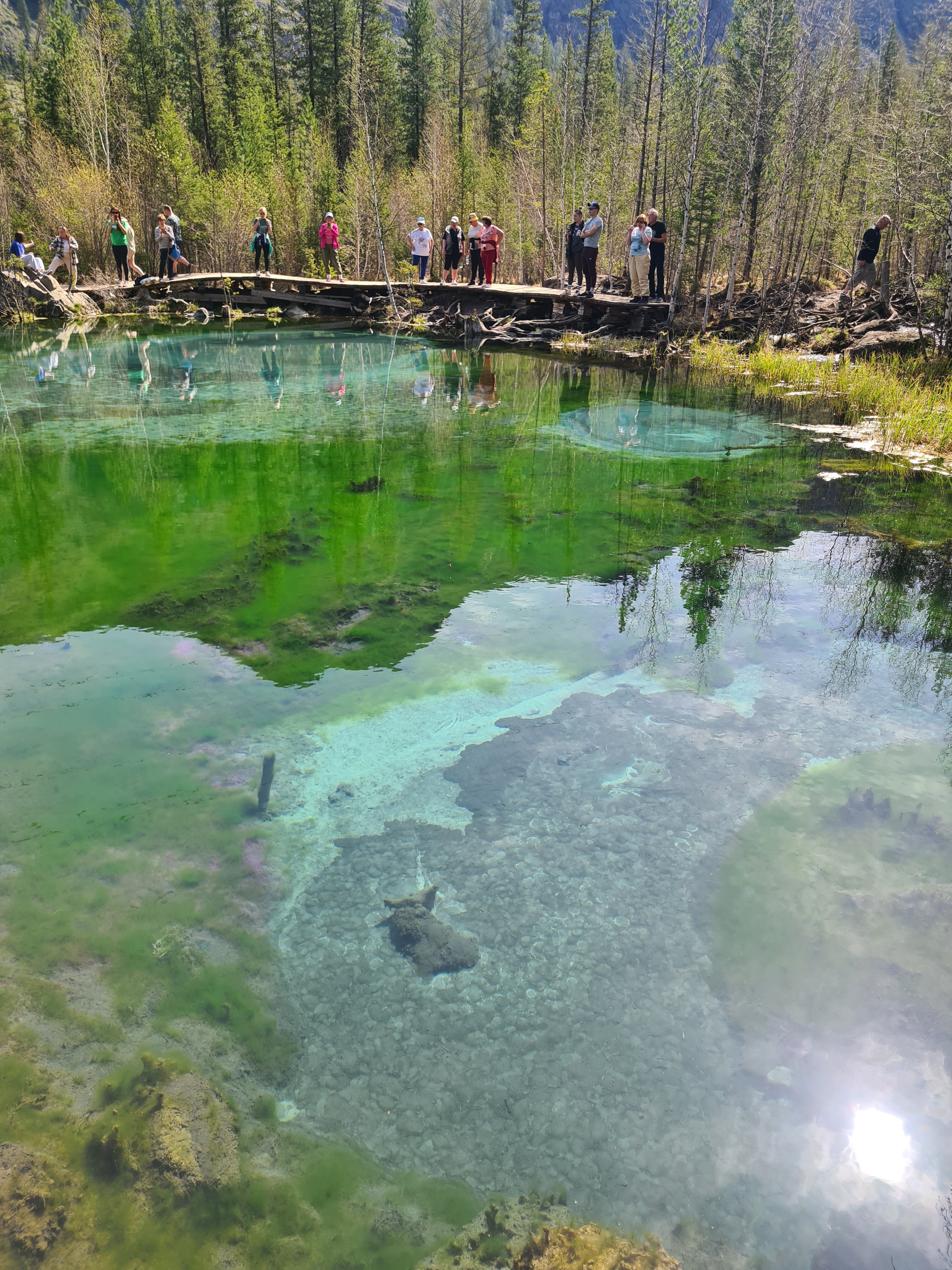 Фото Белый Шум