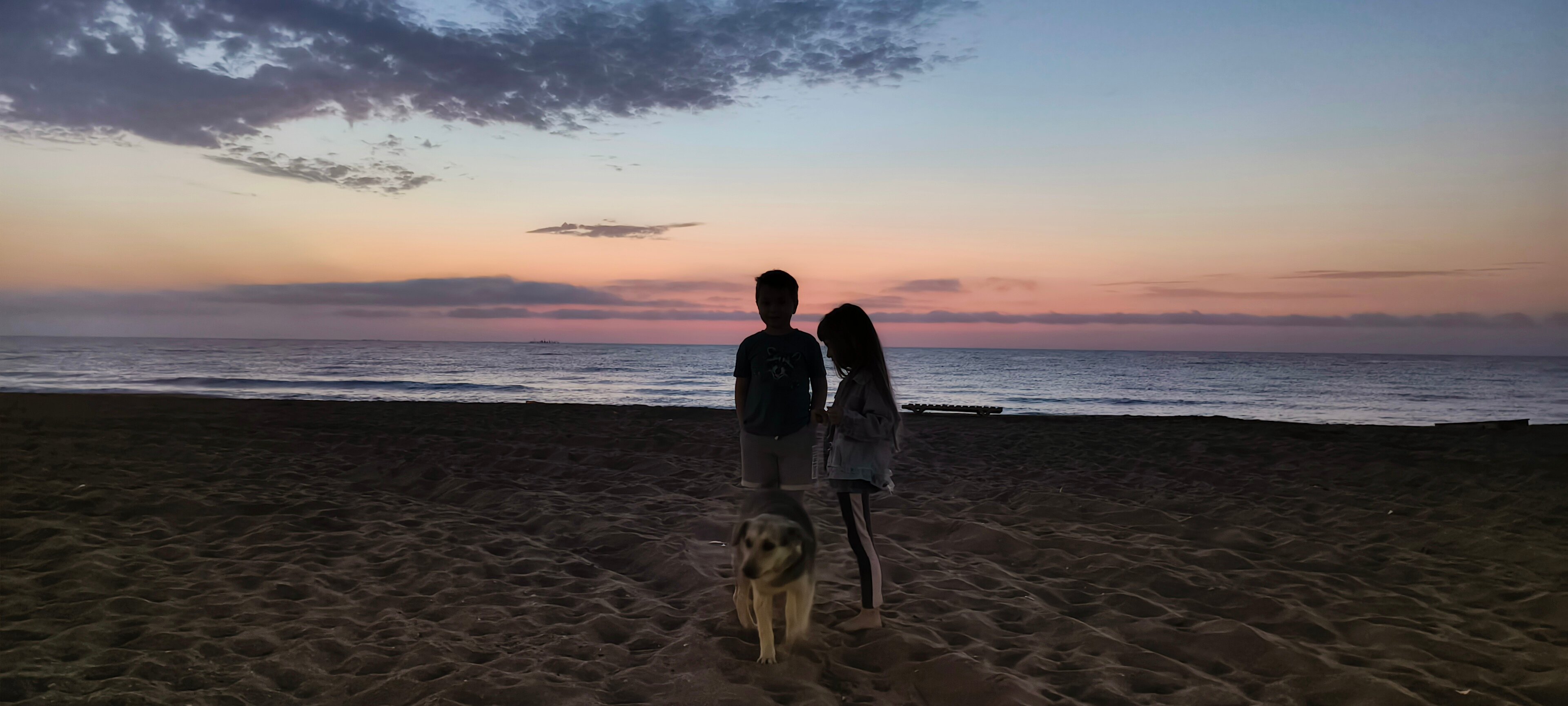 Фото Белый кит