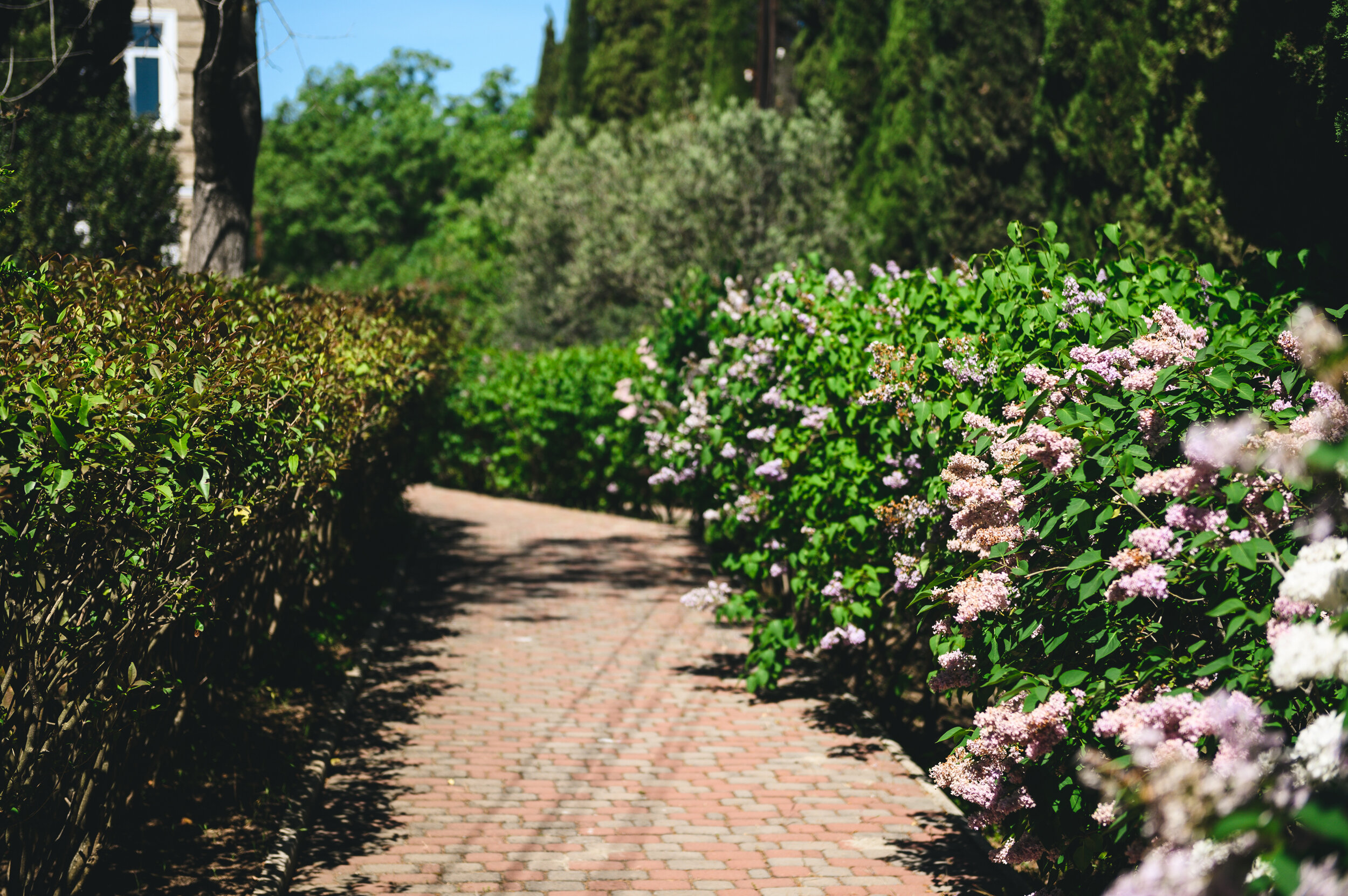 Фото Каприз-Люкс