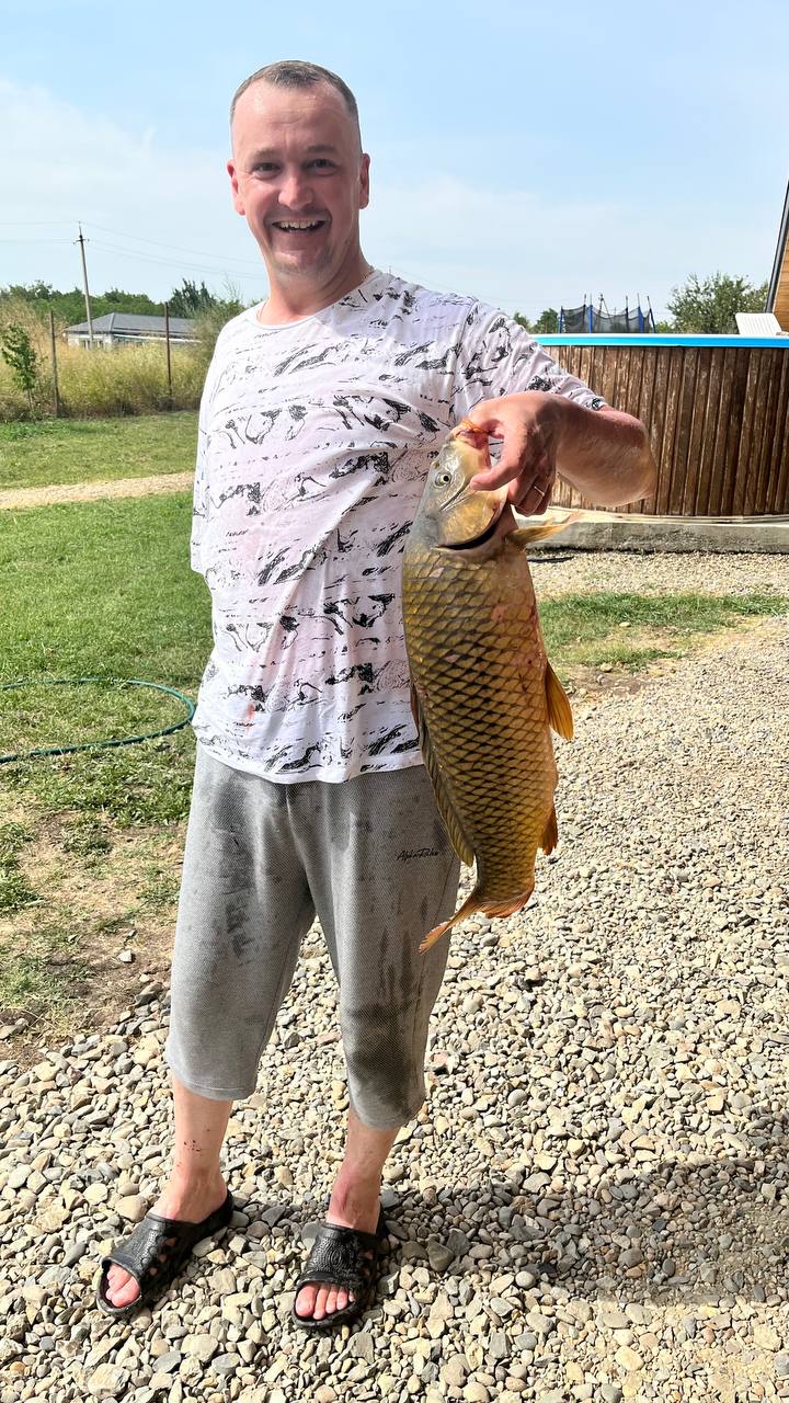 Фото Река лес