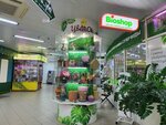 Tsvet-ok (Ordzhonikidze Street, 21), flower shop