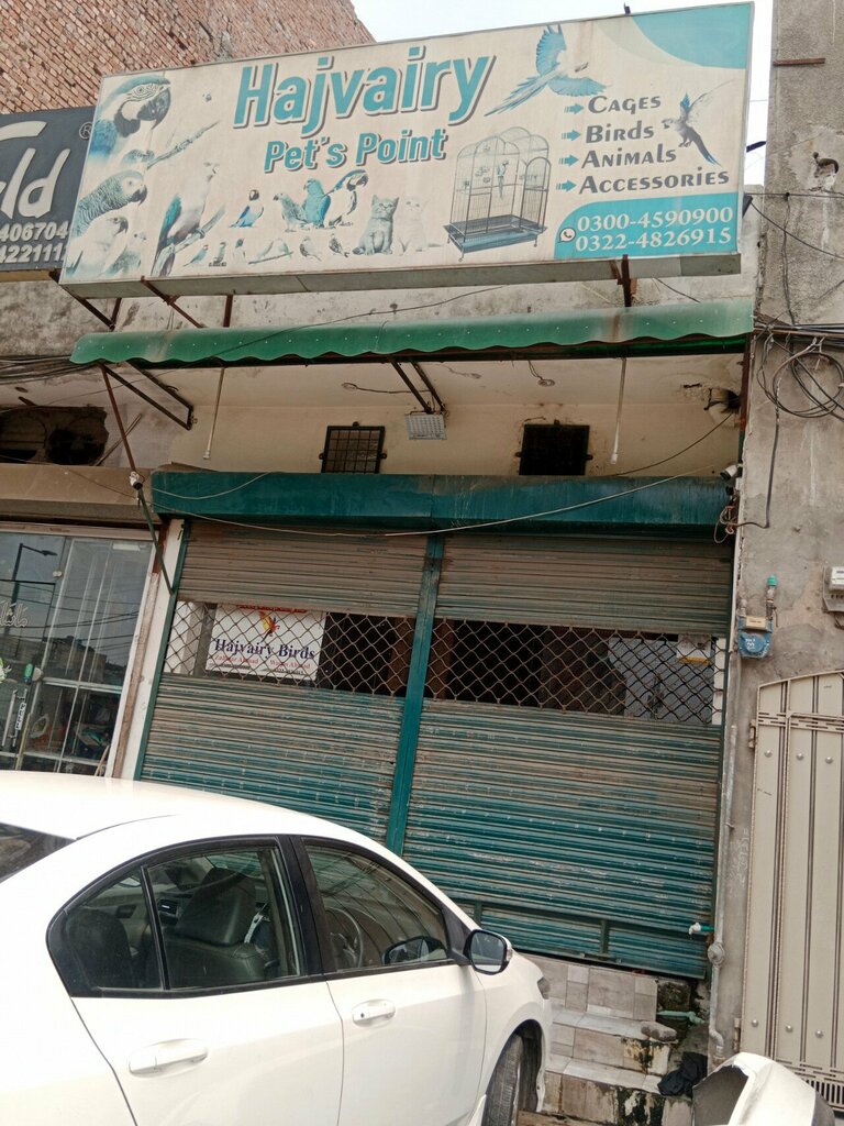 Pet shop Hajvairy Pet's Point, Lahore, photo