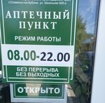 Аптека (Shkolnaya Street, 620), pharmacy