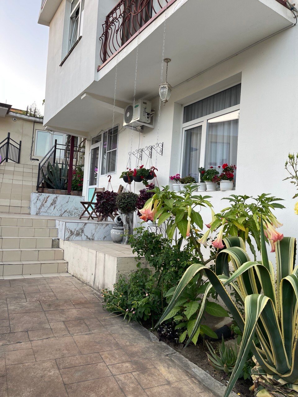 Фото У Елены