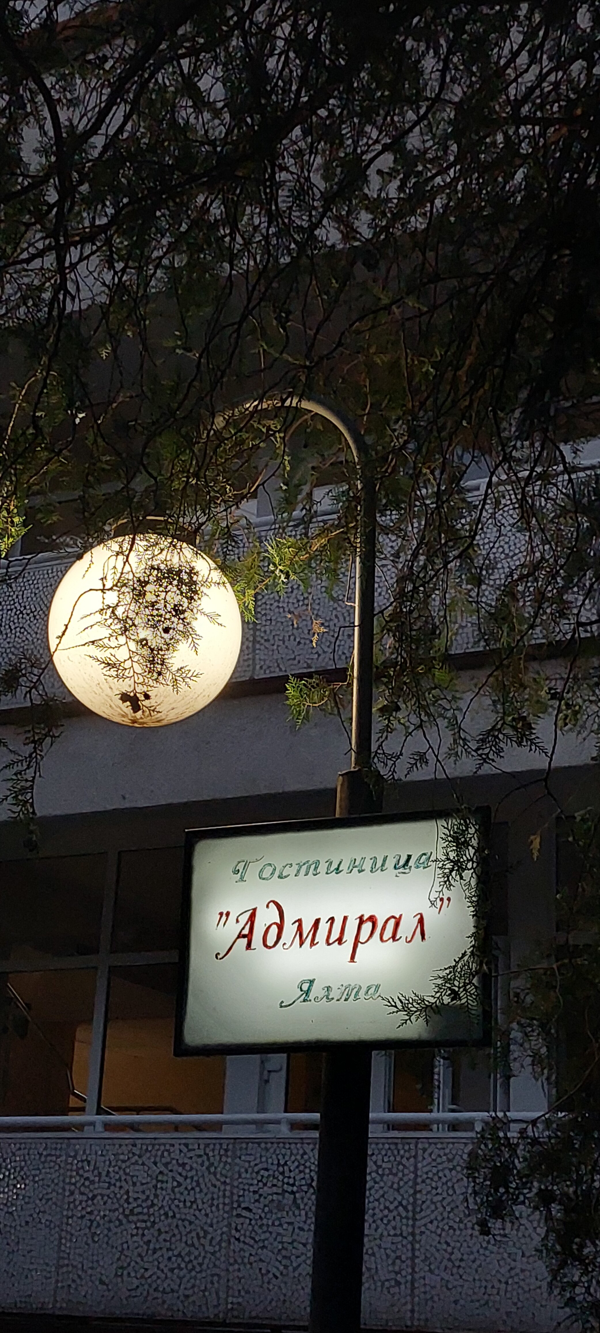 Фото Адмирал Ялта